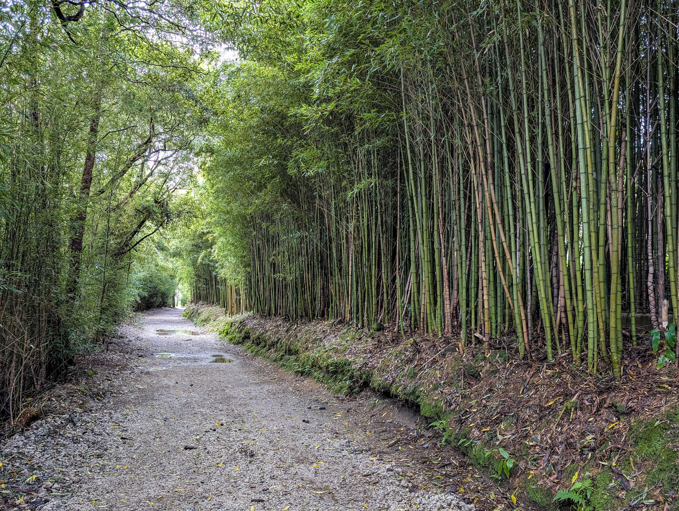 Gift card for Hotel Vale Verde Gift card for Hotel Vale Verde