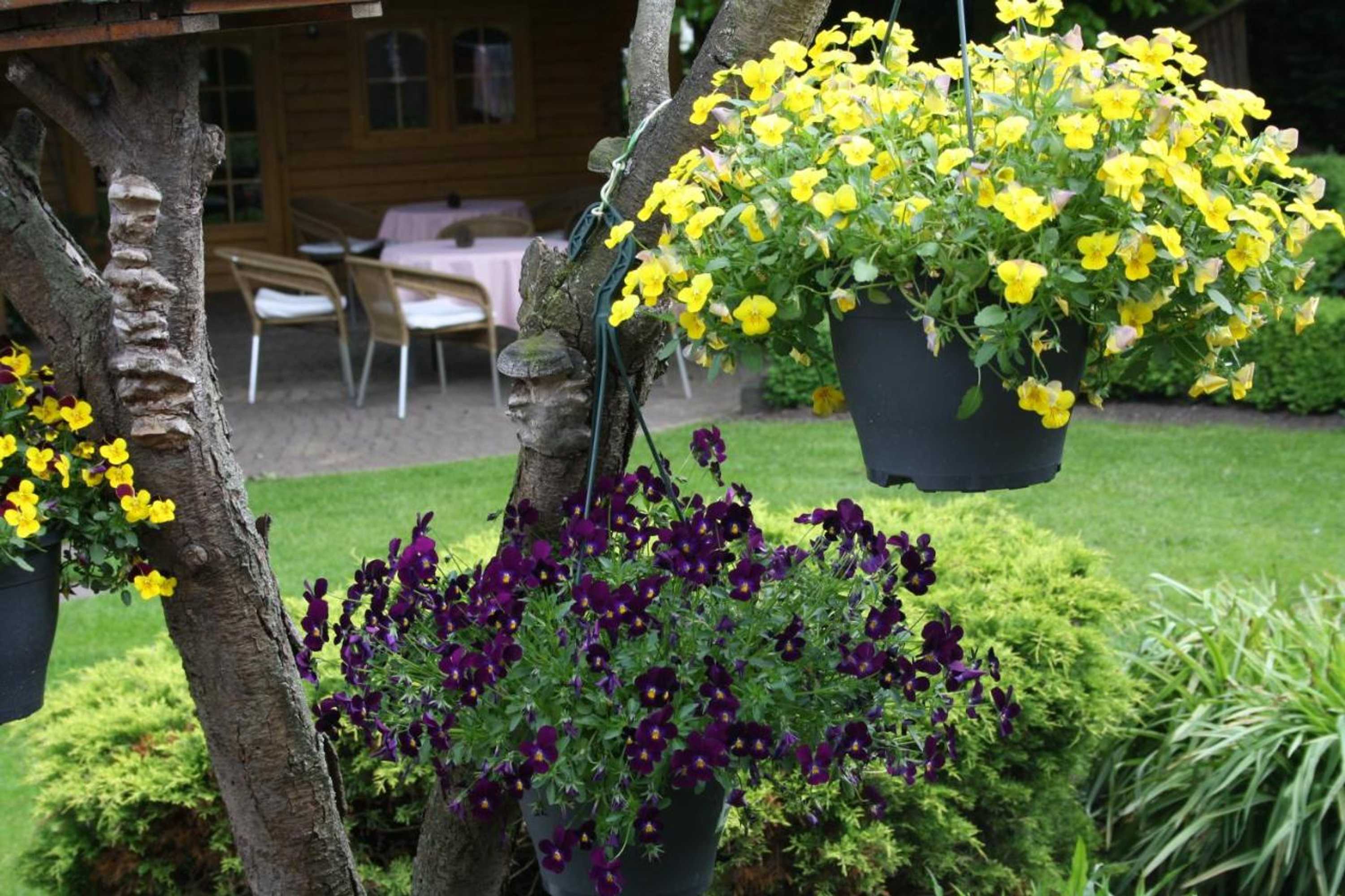 Gift card for Motel Koolen