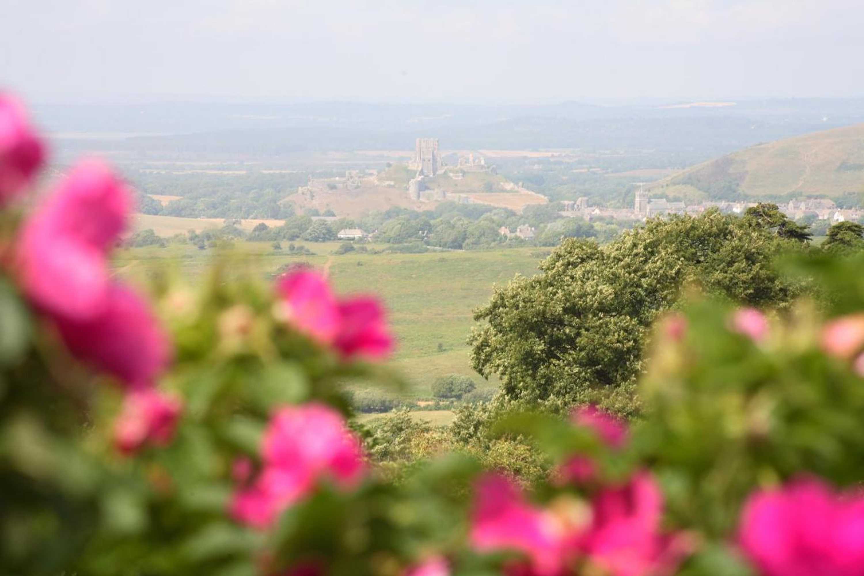 Gift card for The Scott Arms