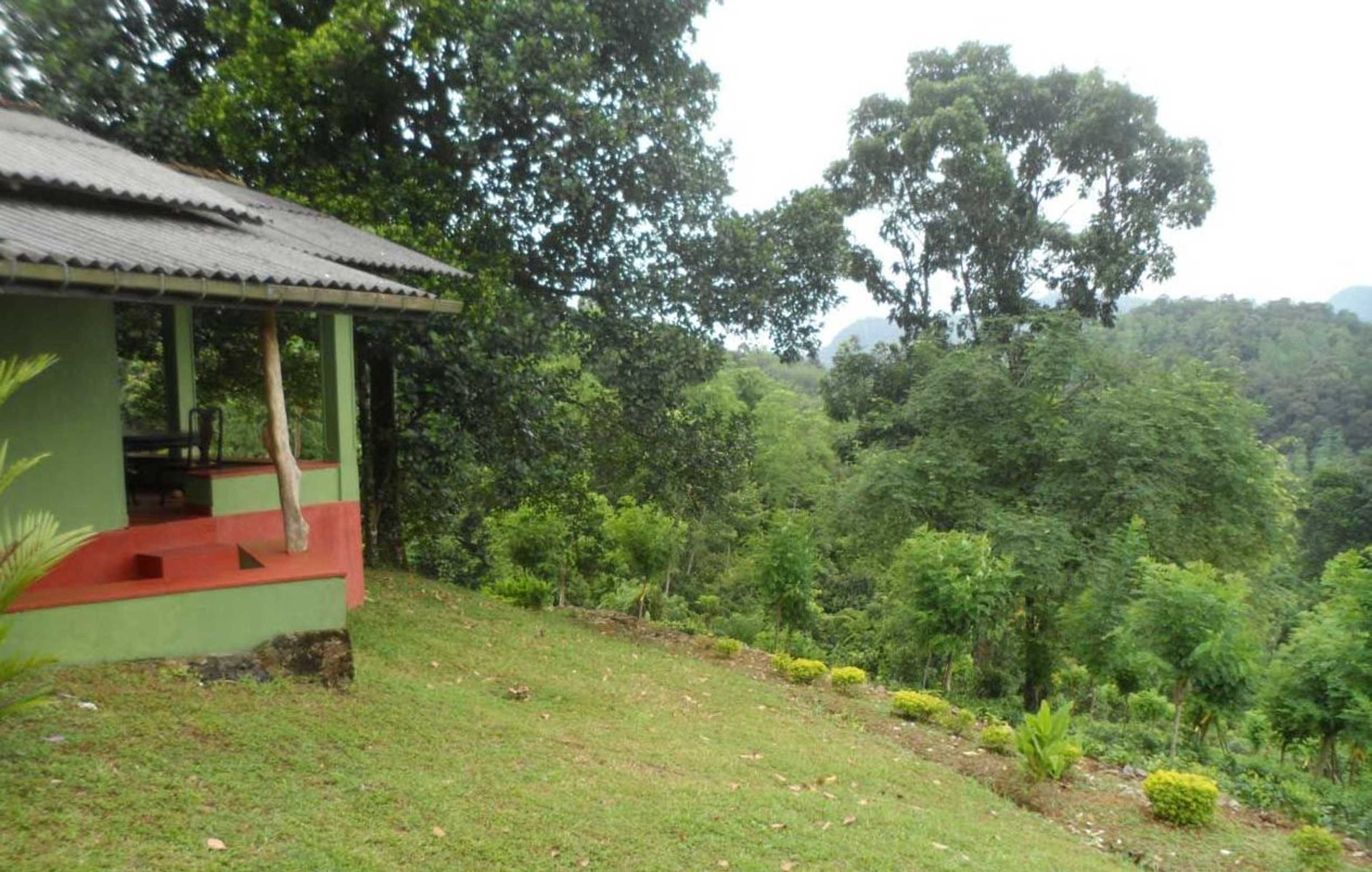 Gift card for Yoho Rain Forest Eco Lodge