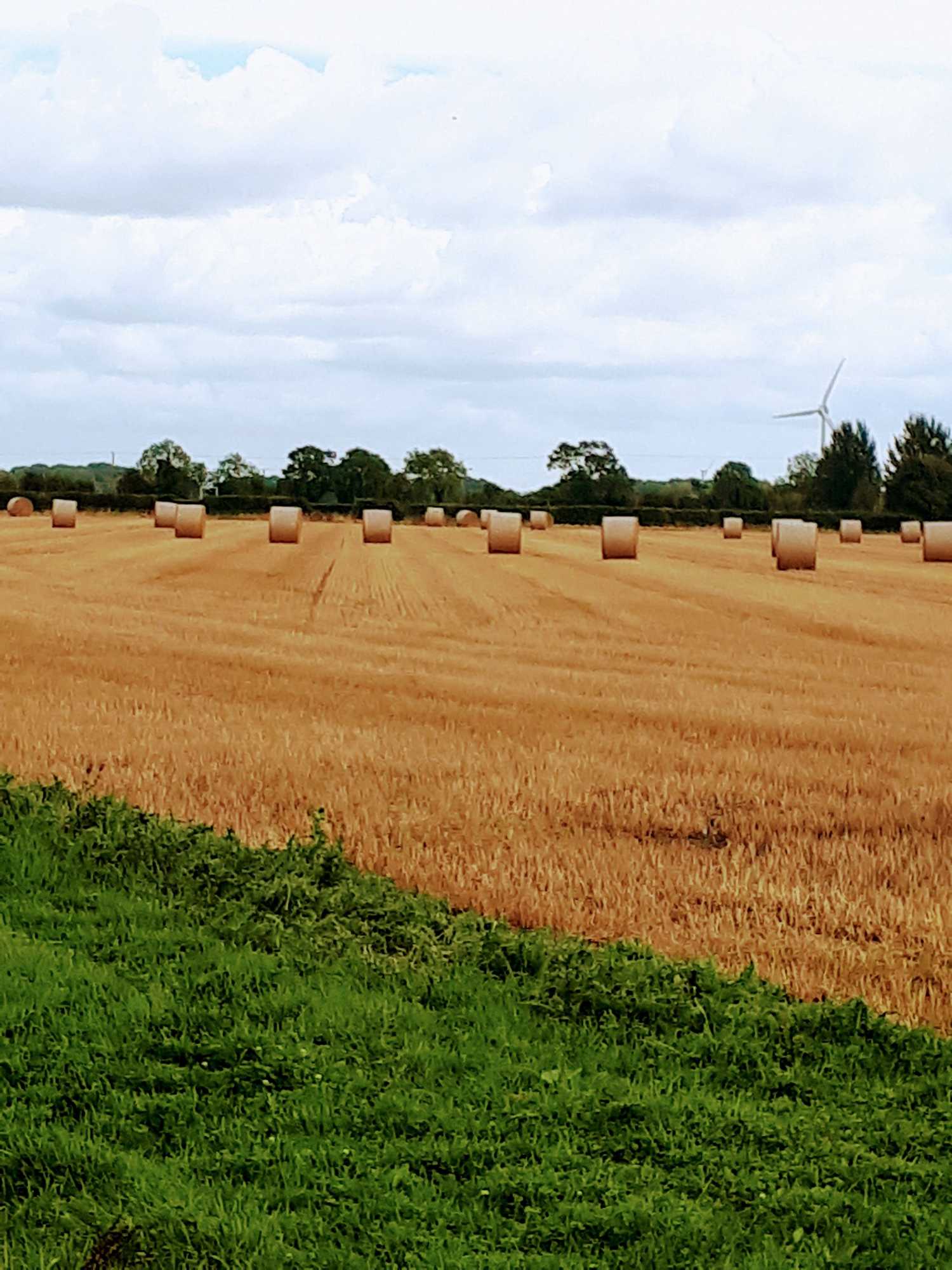 Gift card for Field View B&b