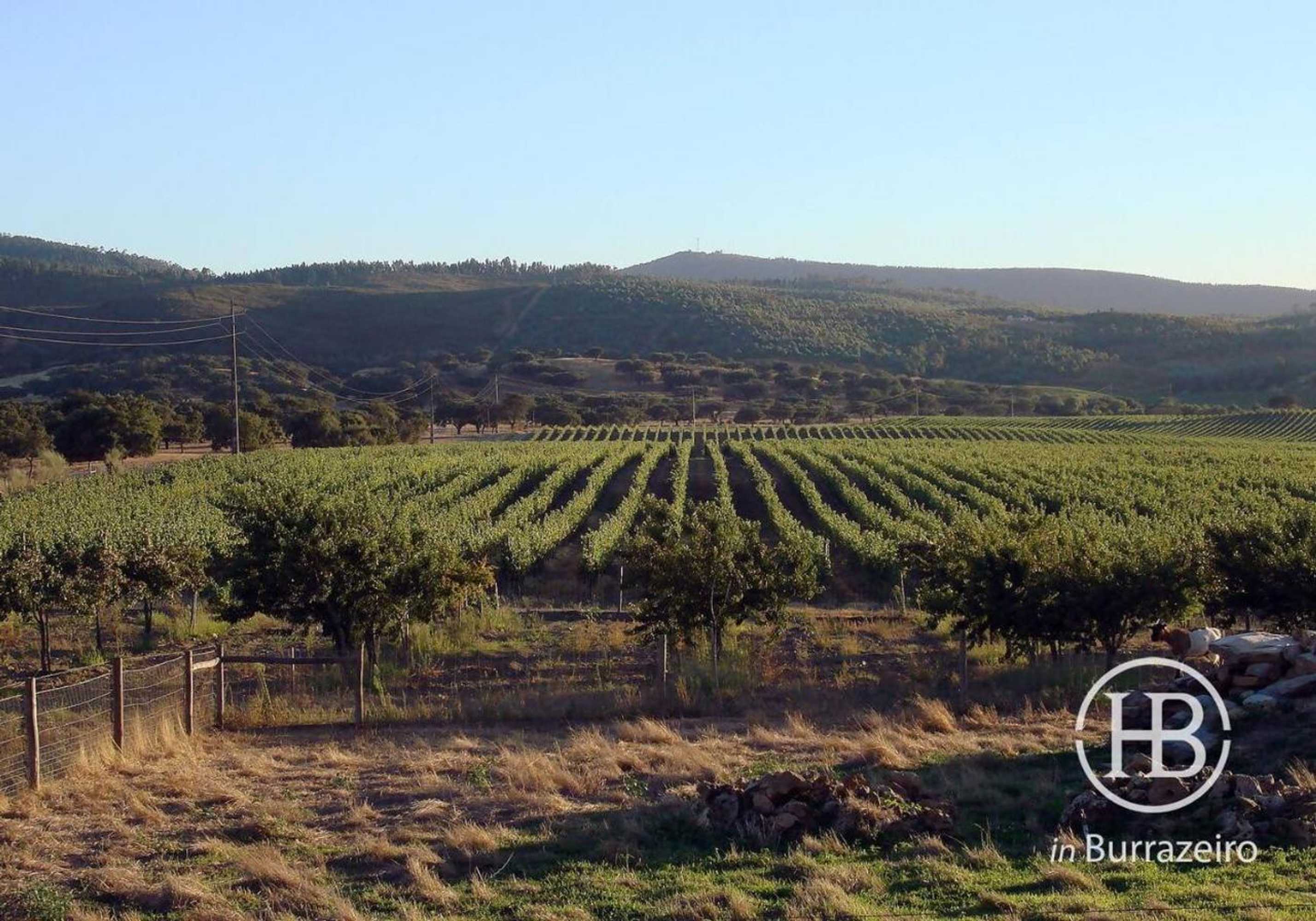 Gift card for Herdade do Burrazeiro Turismo Rural no Alentejo