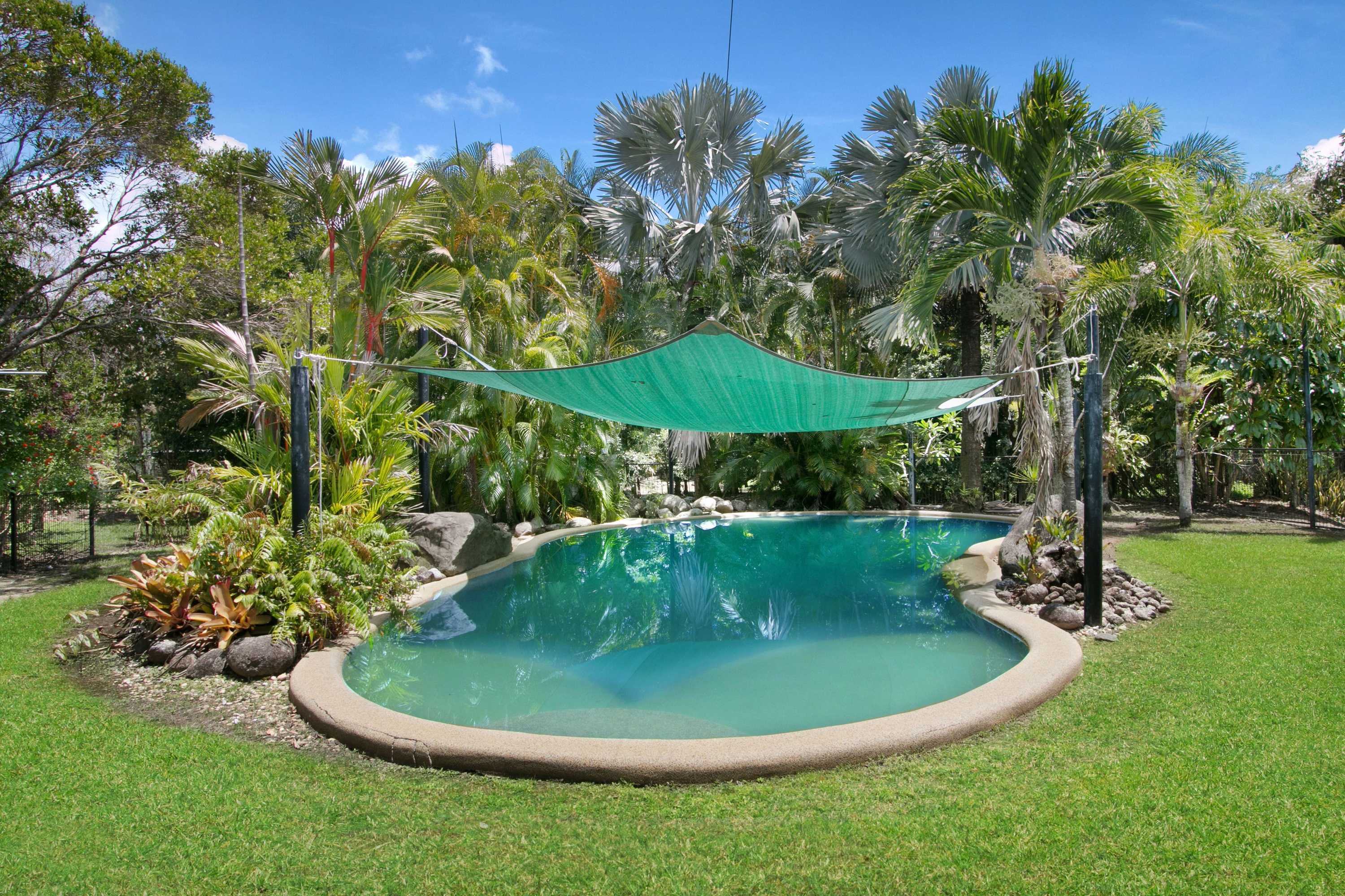 Gift card for Daintree Wild Zoo & B&b Gift card for Daintree Wild Zoo & B&b