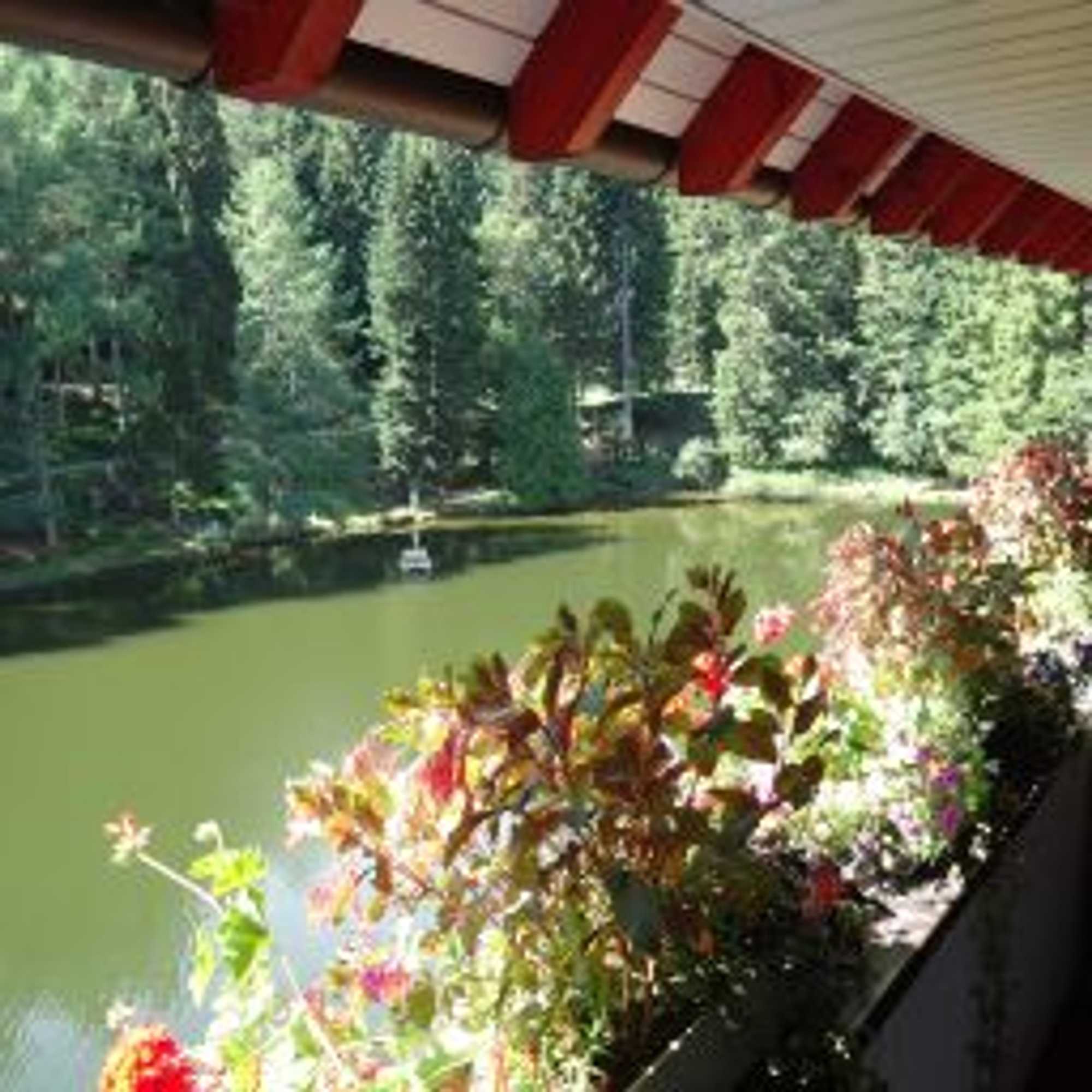 Gift card for Hotel Langenwaldsee Gift card for Hotel Langenwaldsee