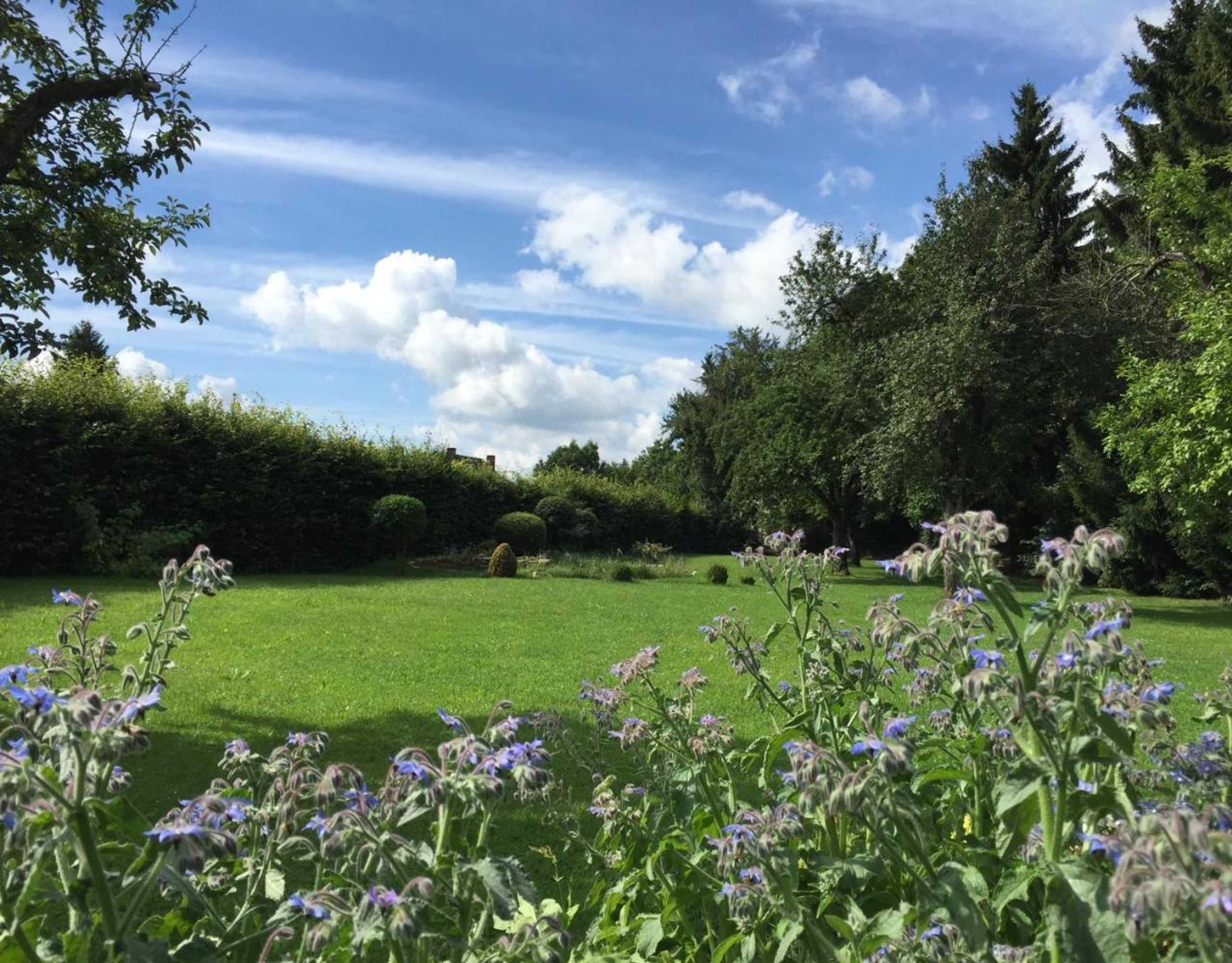 Gift card for Flair Hotel Grüner Baum