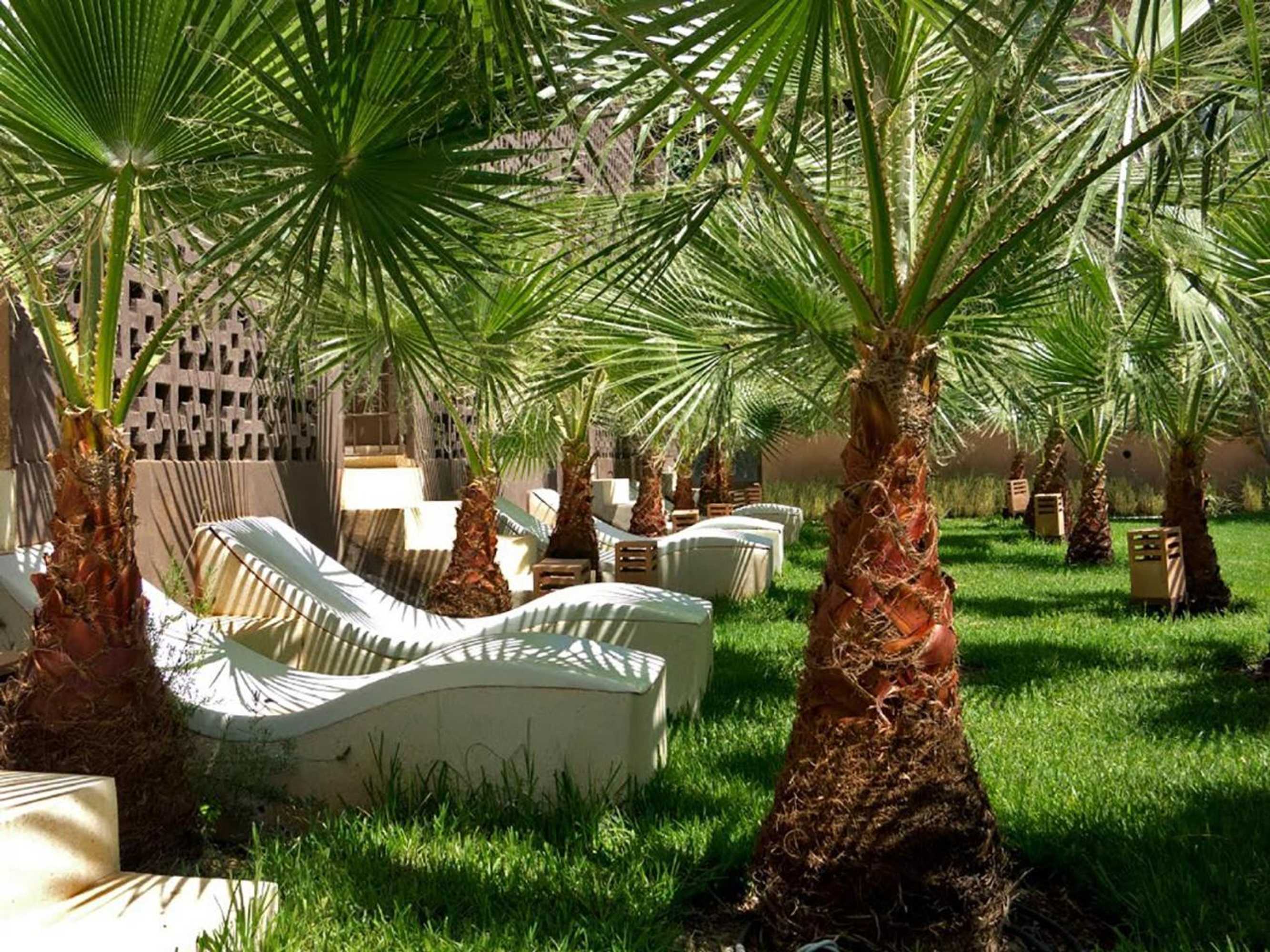 Gift card for Domaine Malika - Adults Only