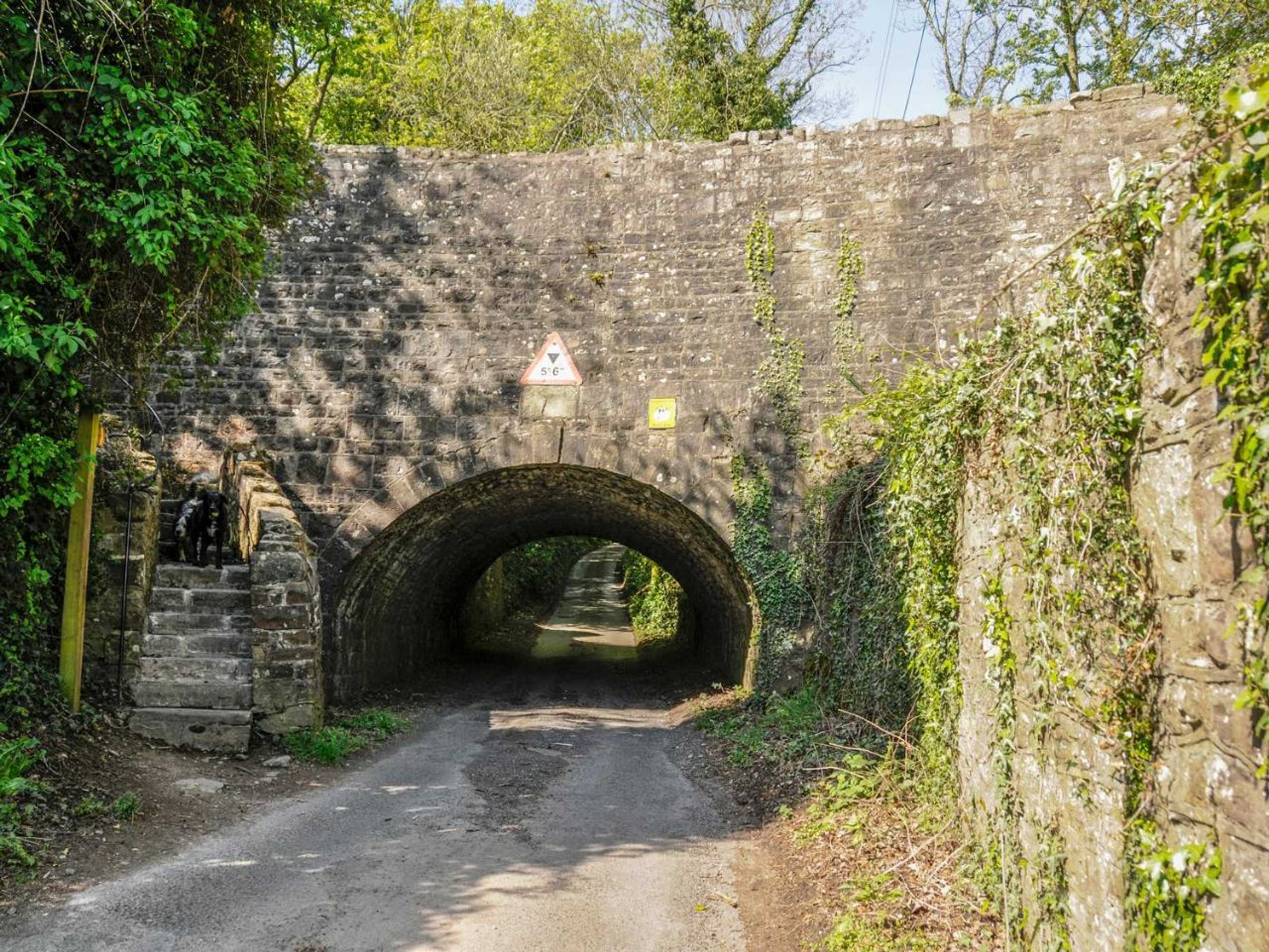 Gift card for Black Cat Bach