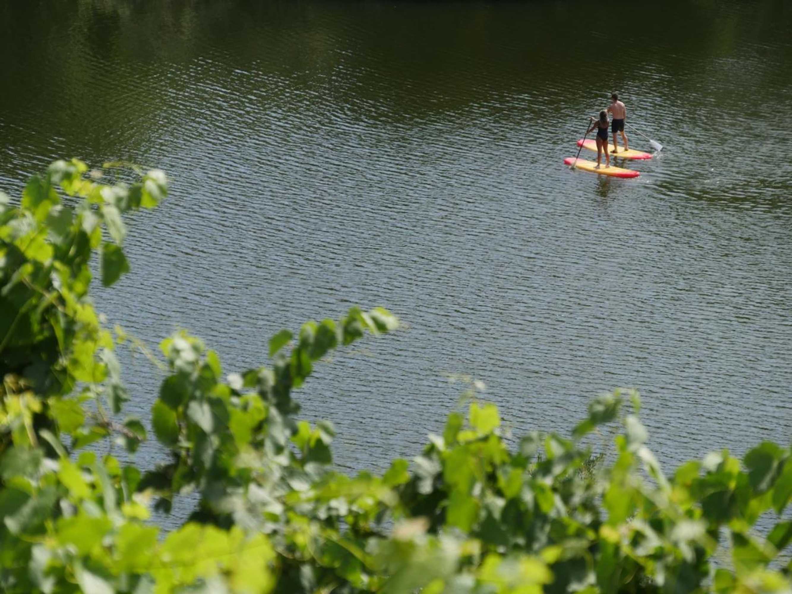 Gift card for Quinta do Tedo