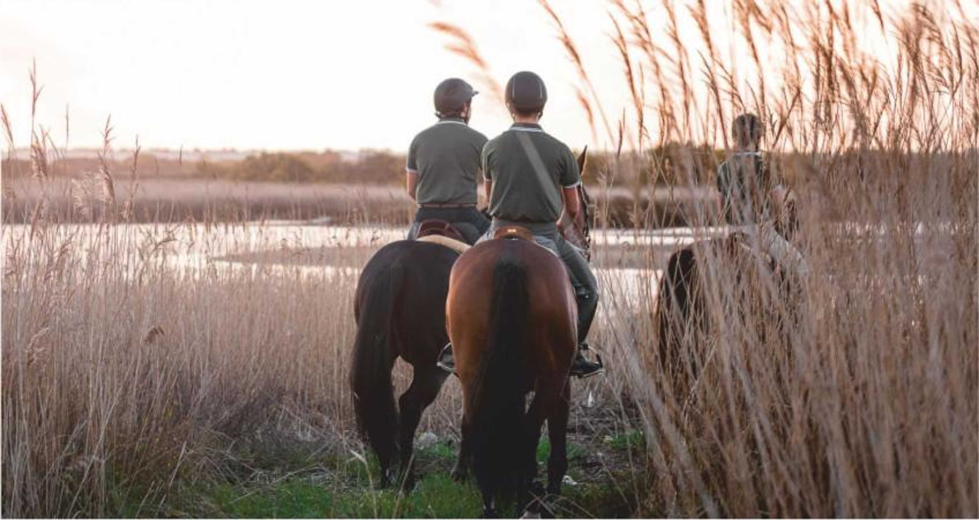 Gift card for Casa Dos Pingos de Mel