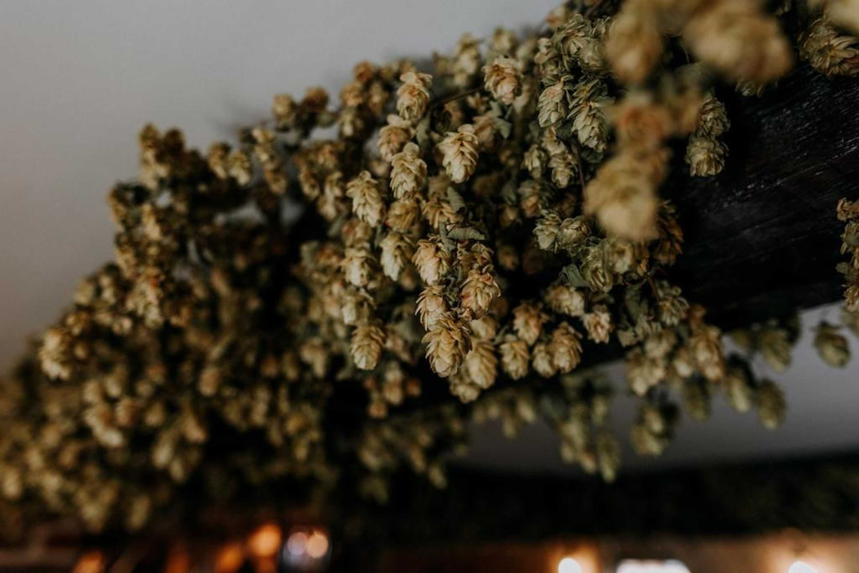 Gift card for The Ferry House Inn