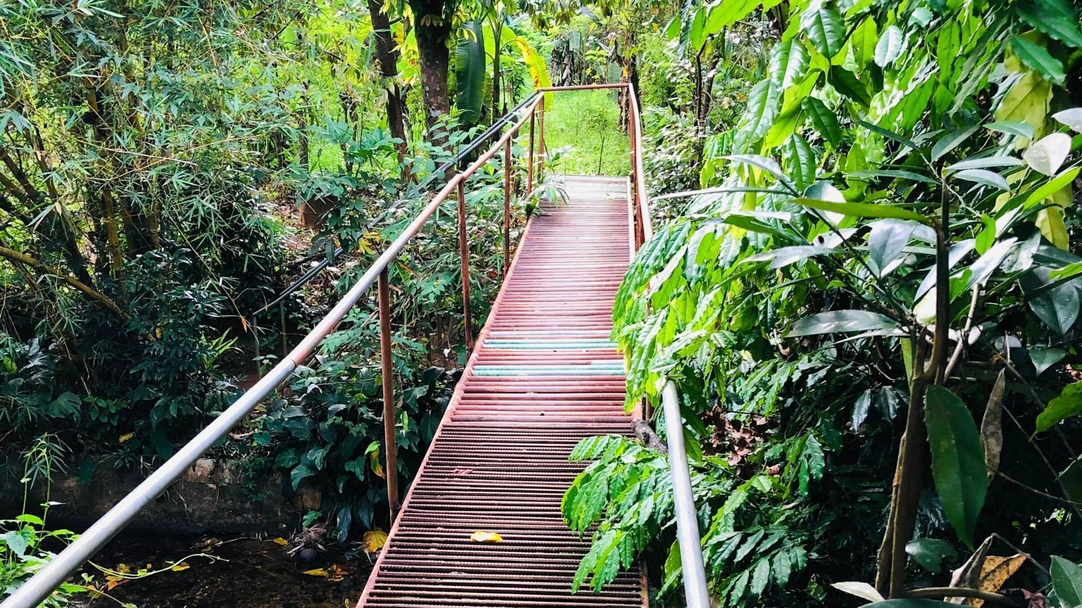 Gift card for Ceylon Nature Hostel Kitulgala Gift card for Ceylon Nature Hostel Kitulgala