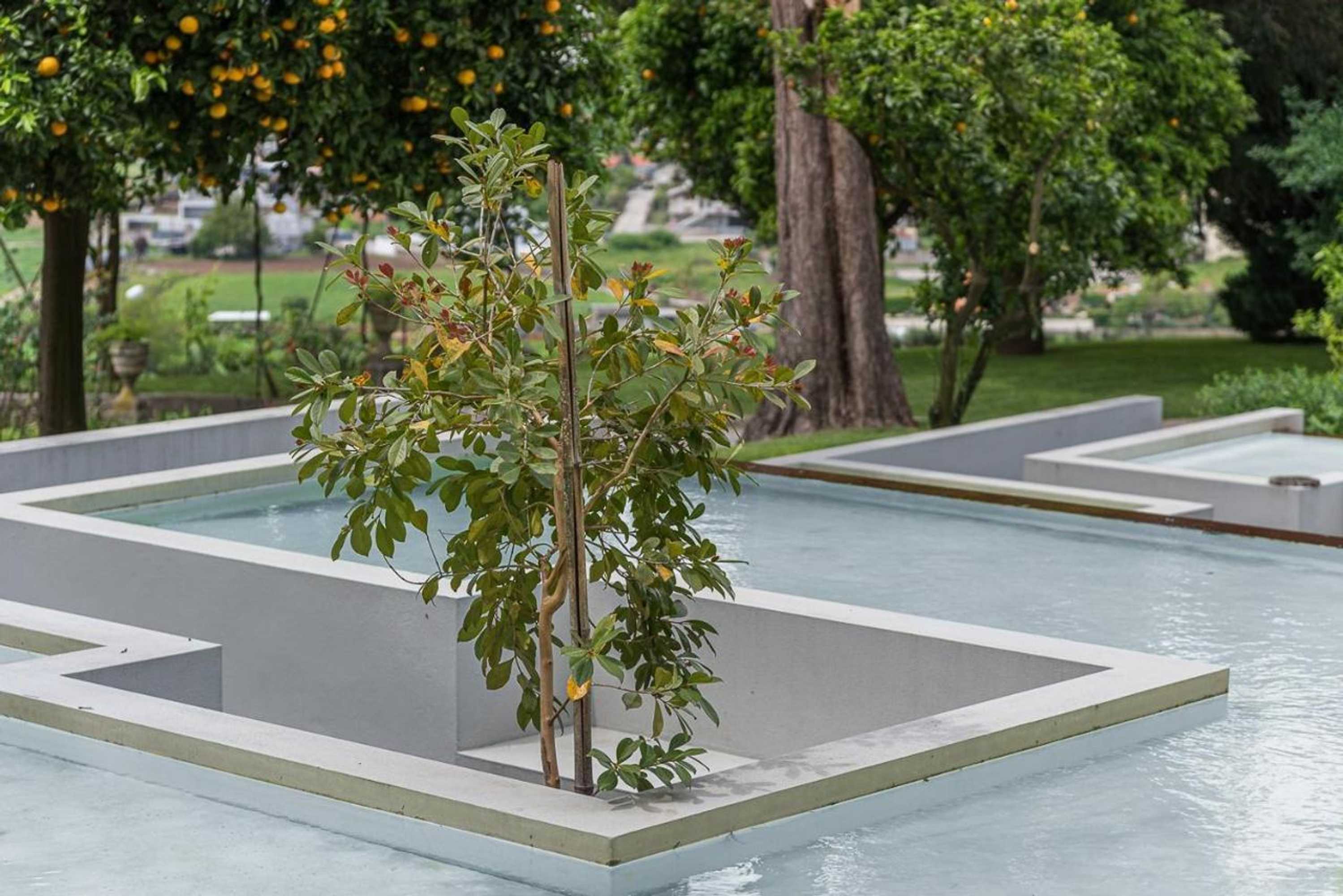 Gift card for Quinta Das Piramides