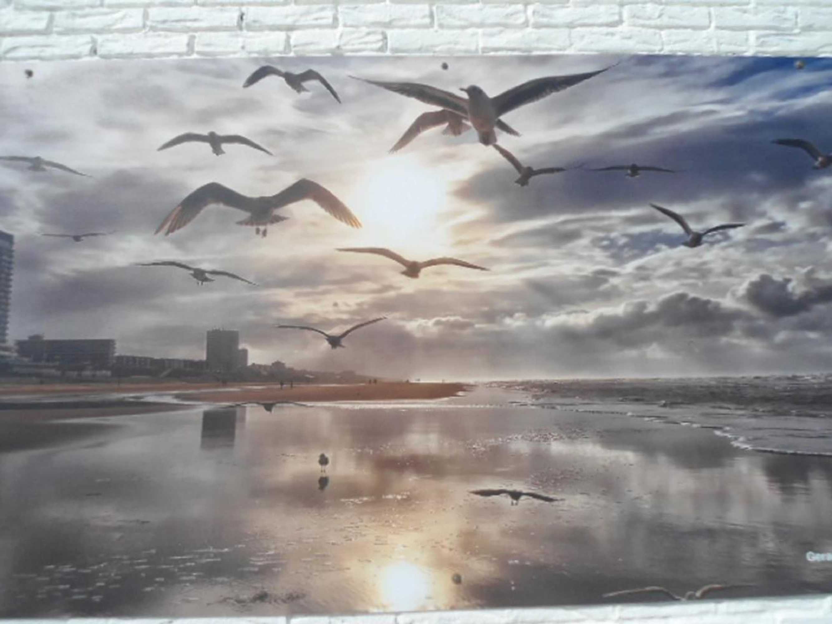 Gift card for Halte71