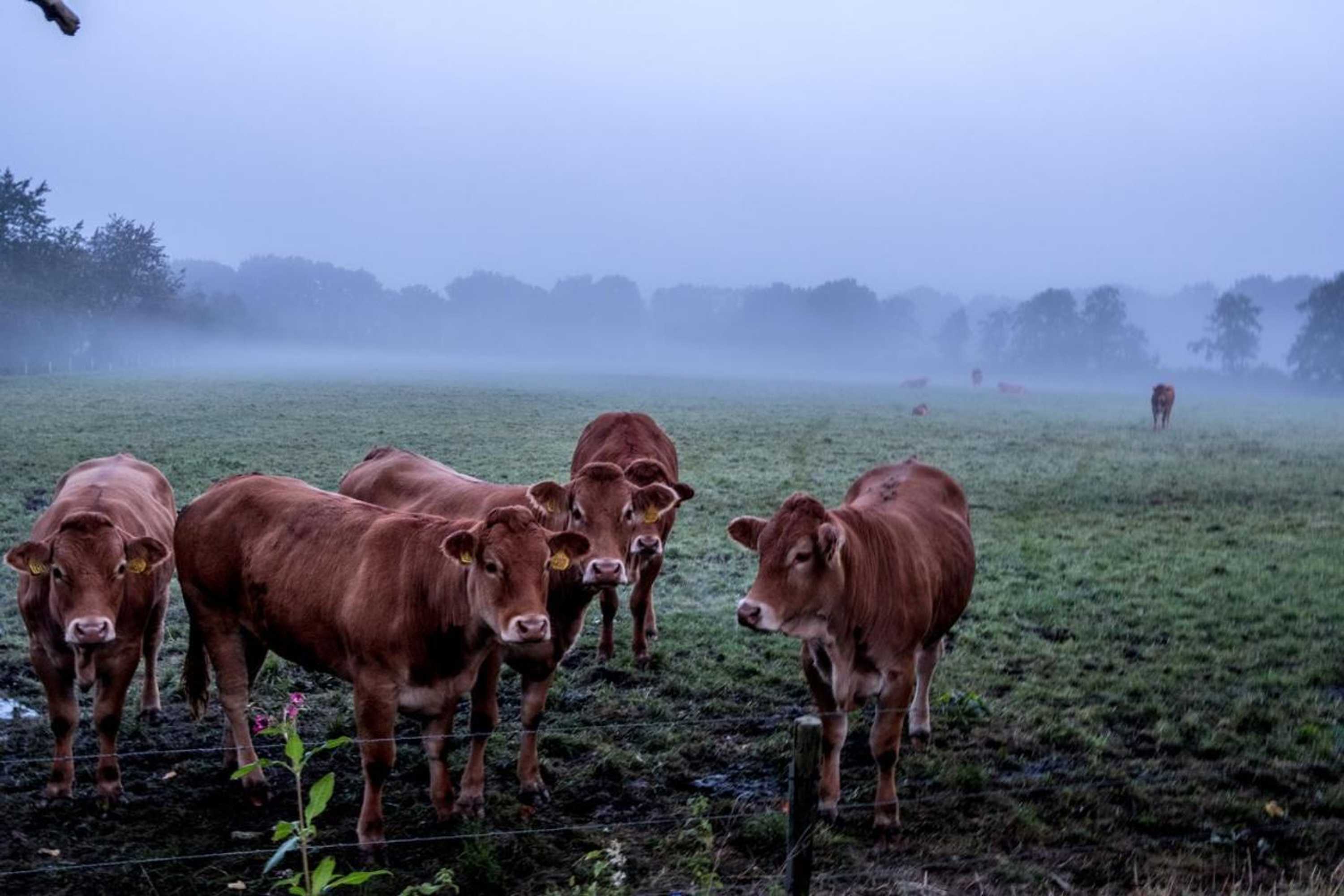 Gift card for Het Findament Tiny House