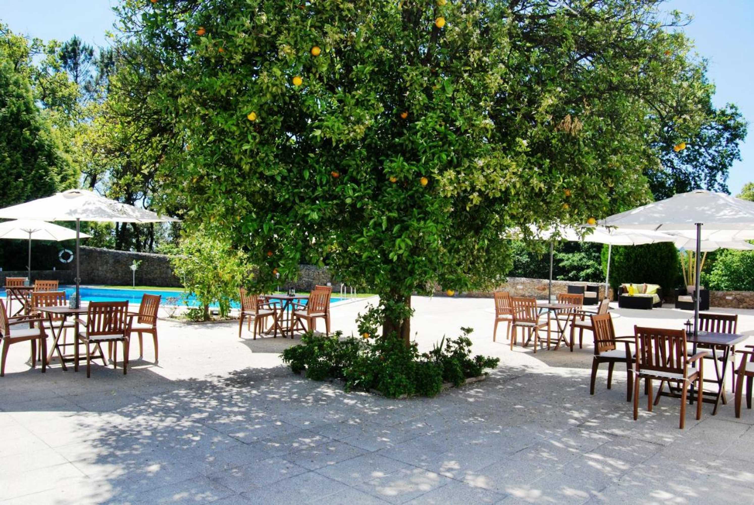 Gift card for Hotel Quinta Progresso Gift card for Hotel Quinta Progresso