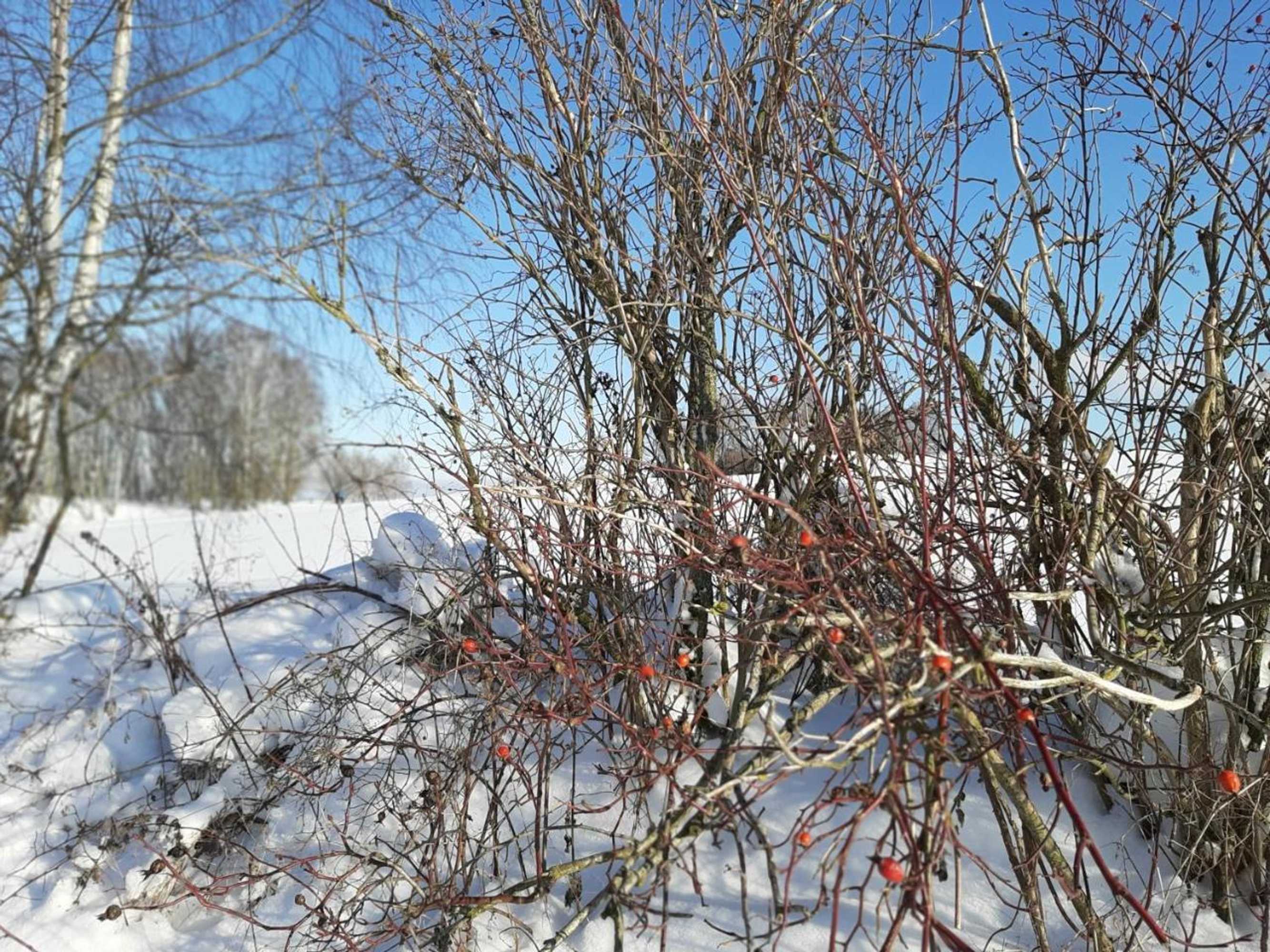 Gift card for Fewo an Der Teufelskanzel