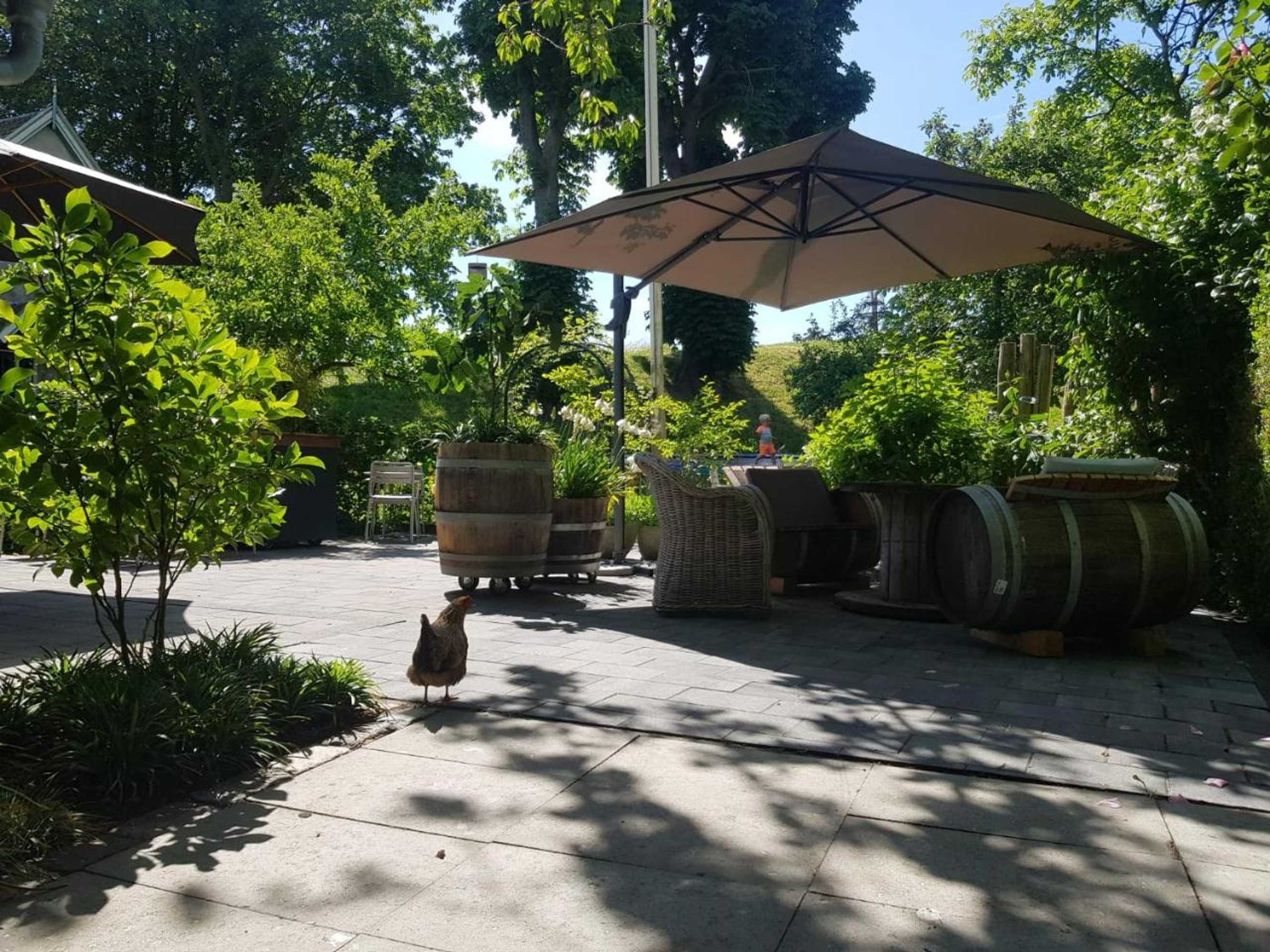 Gift card for Theetuin Onder de Pannen