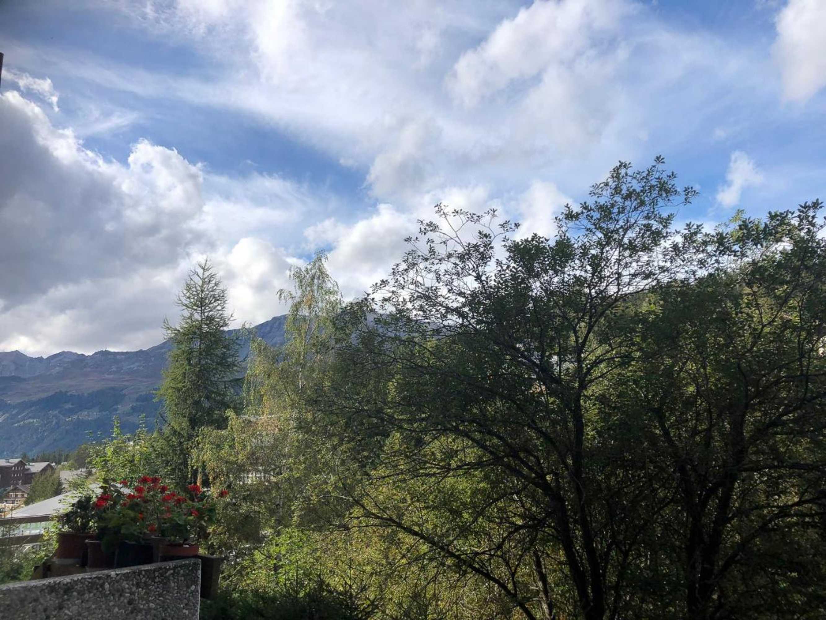 Gift card for Sport Palace