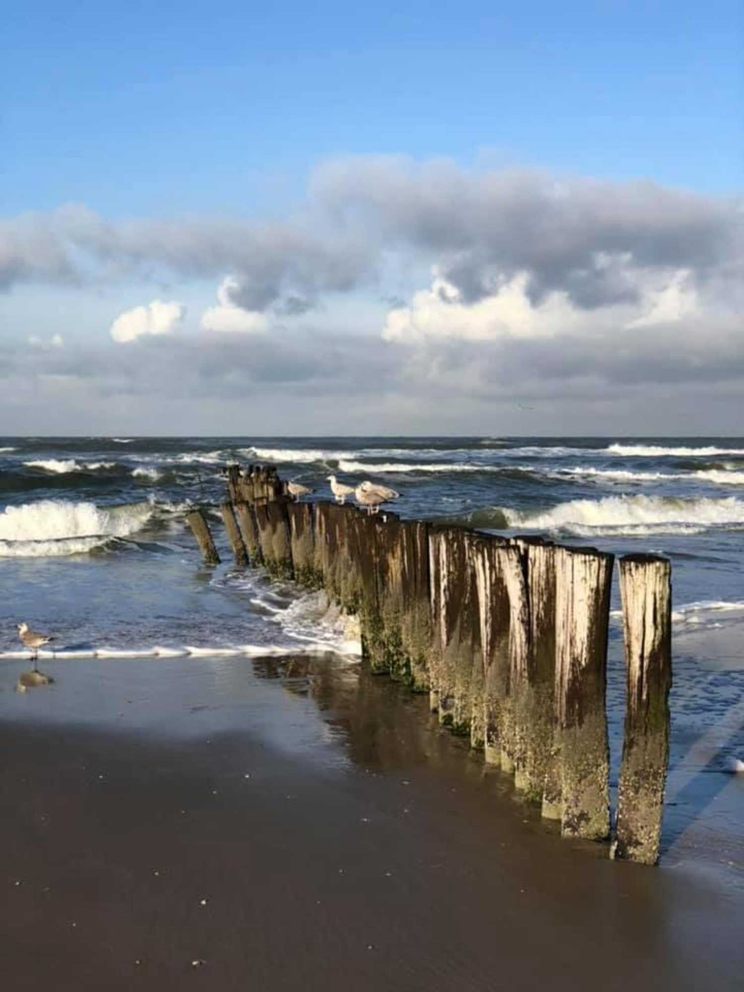 Gift card for ''op Stok