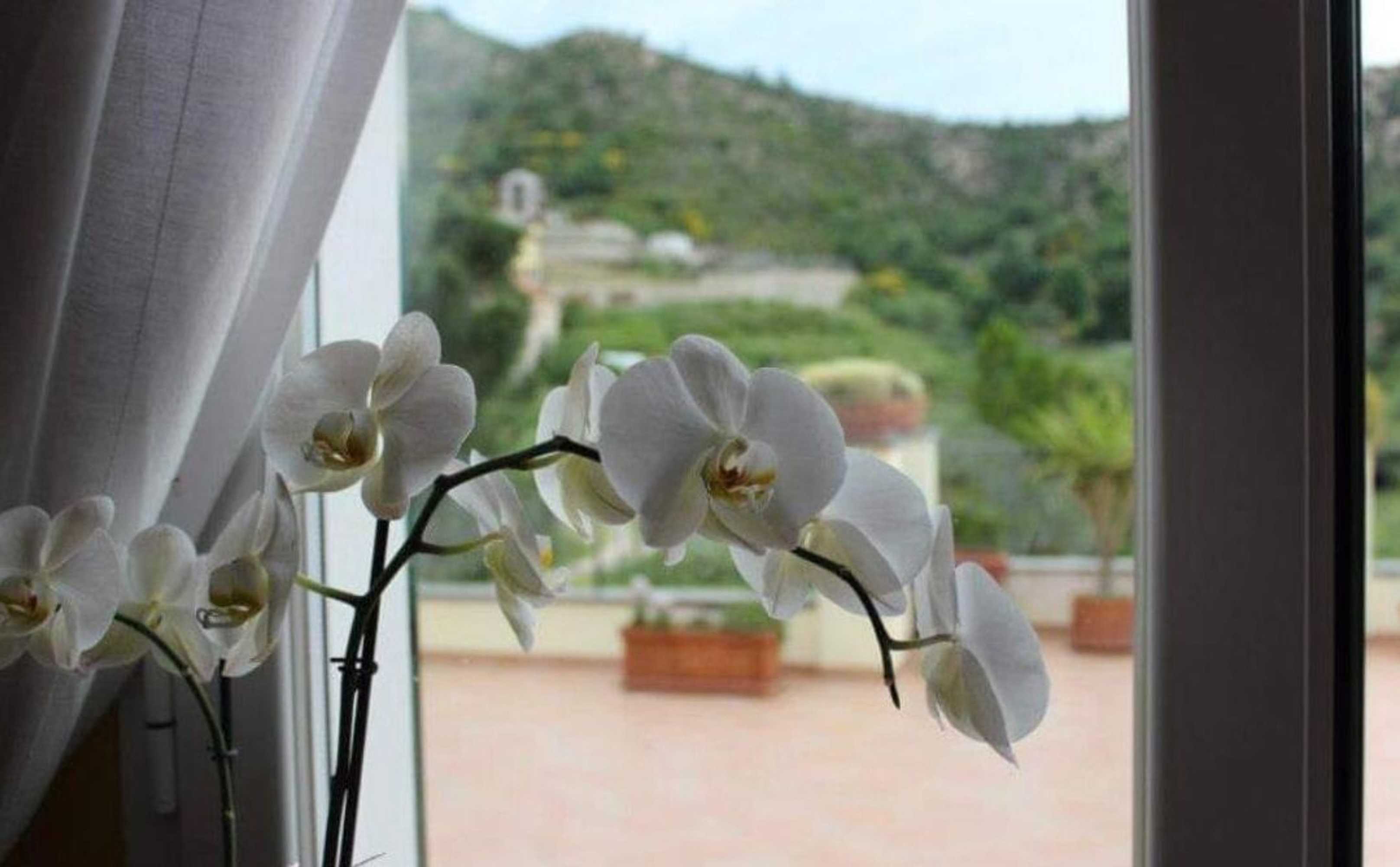 Gift card for Casale Coreallo