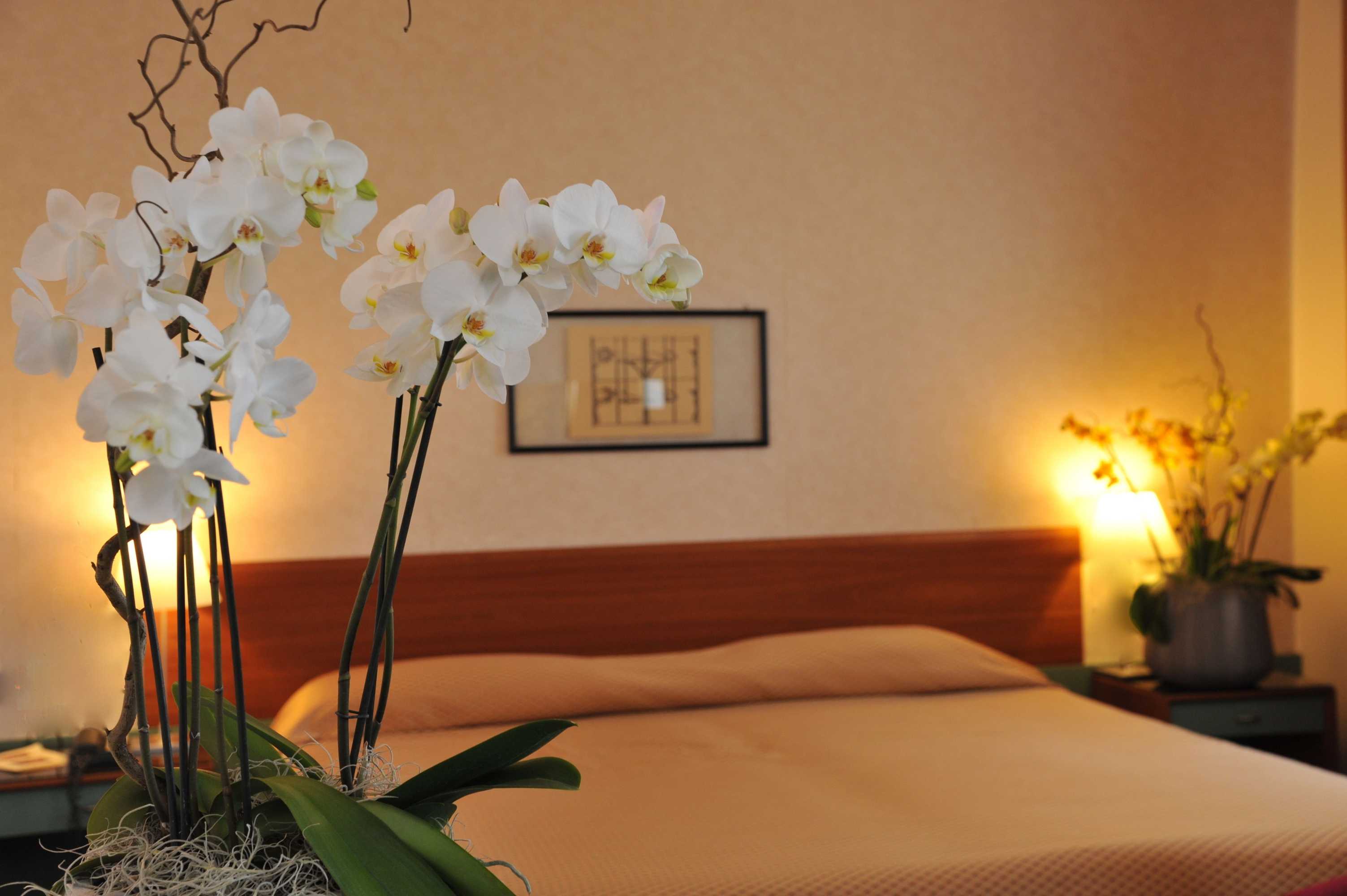 Gift card for Hotel Filanda Gift card for Hotel Filanda