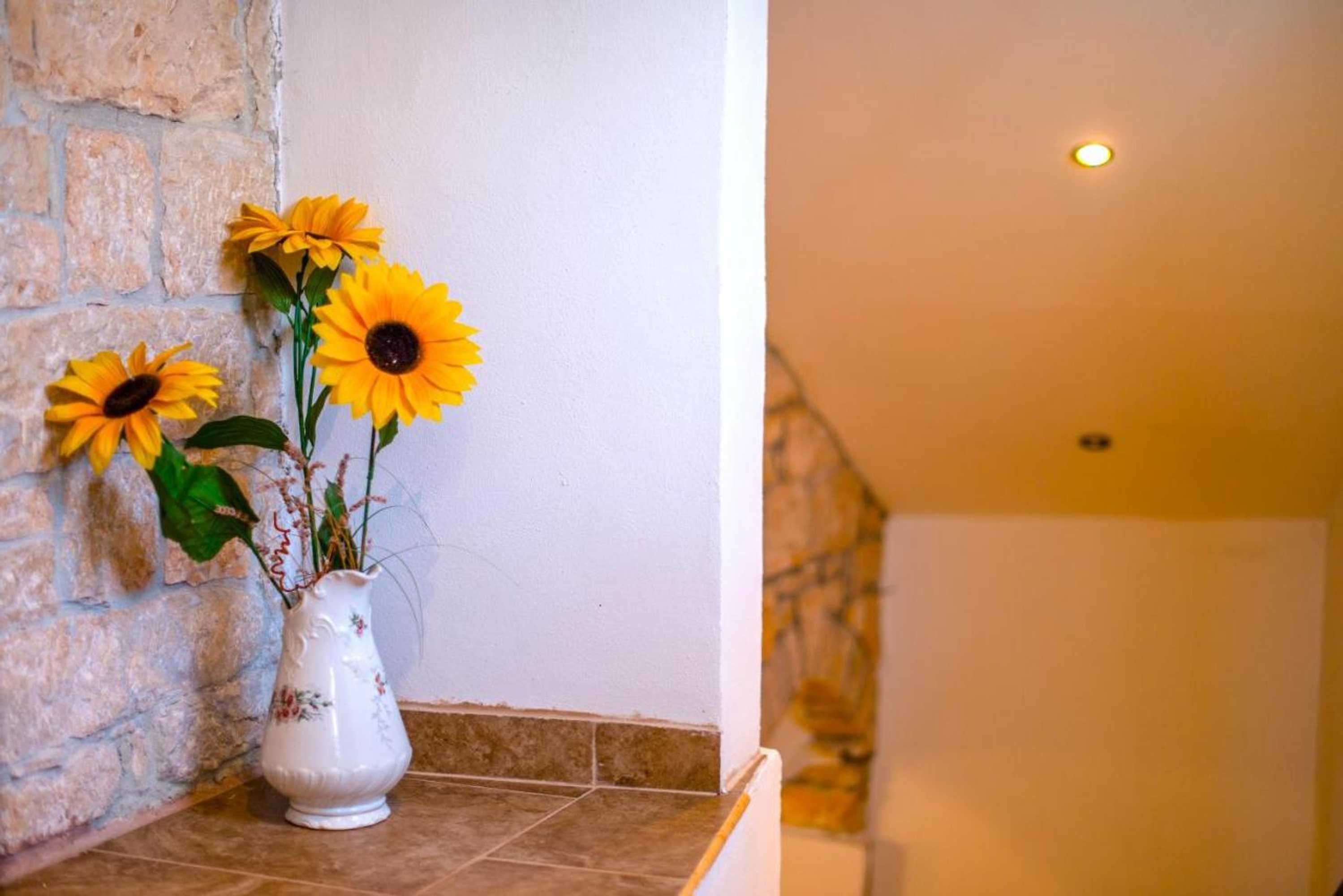 Gift card for HH Šterna