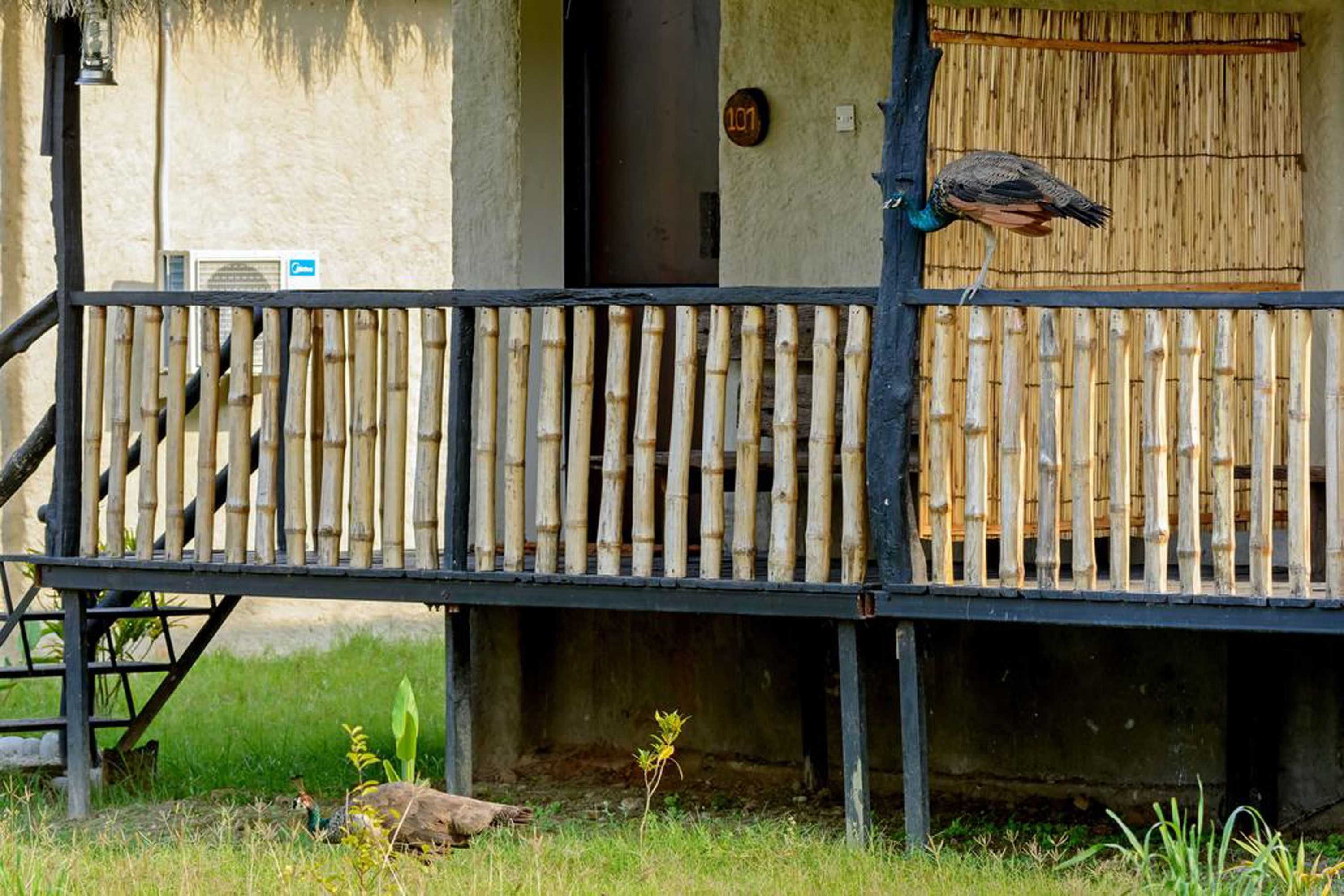 Gift card for Siddhartha Wildlife Retreat Gift card for Siddhartha Wildlife Retreat