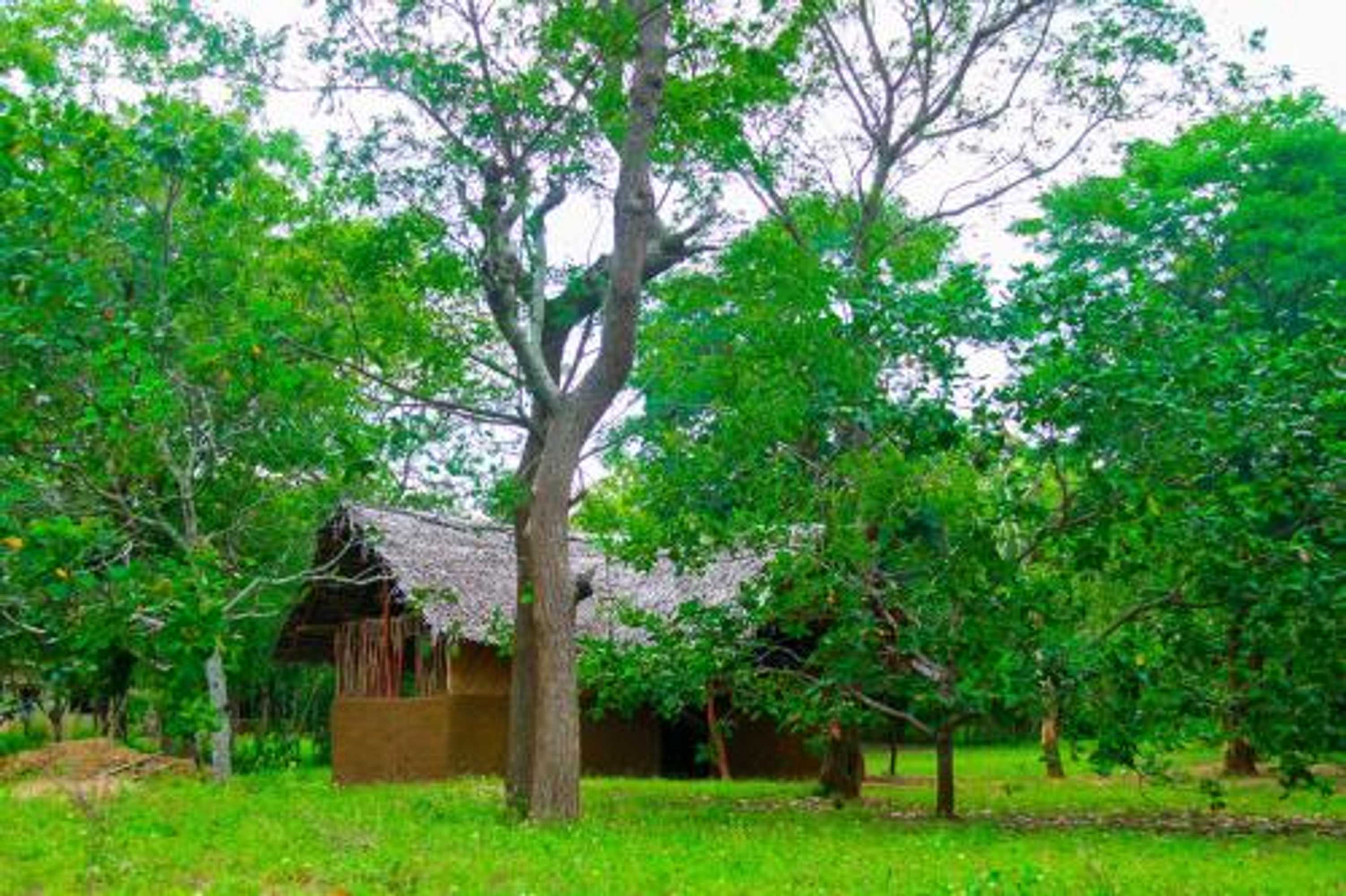 Gift card for Yala Way Hide Resort Gift card for Yala Way Hide Resort