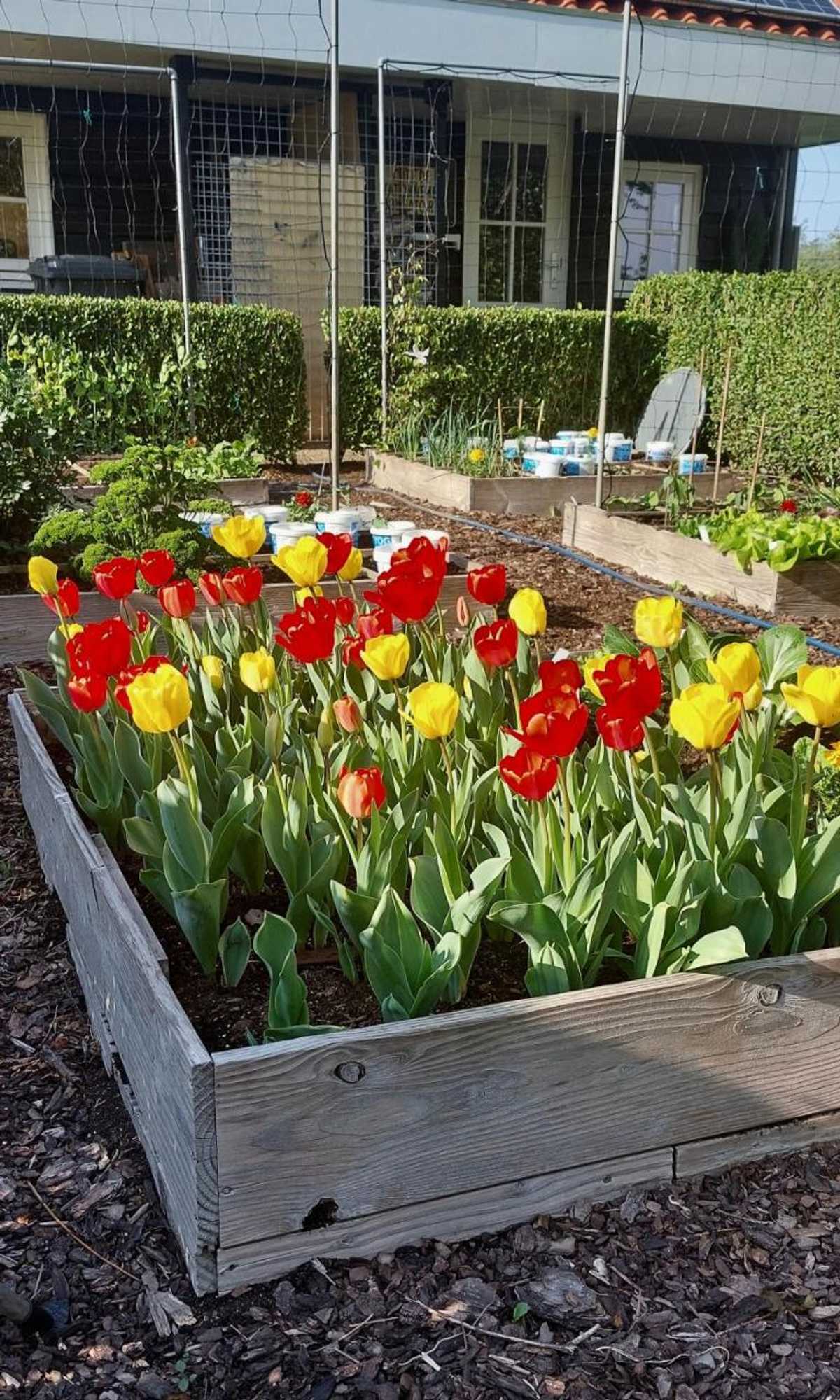 Gift card for De Kopstoof