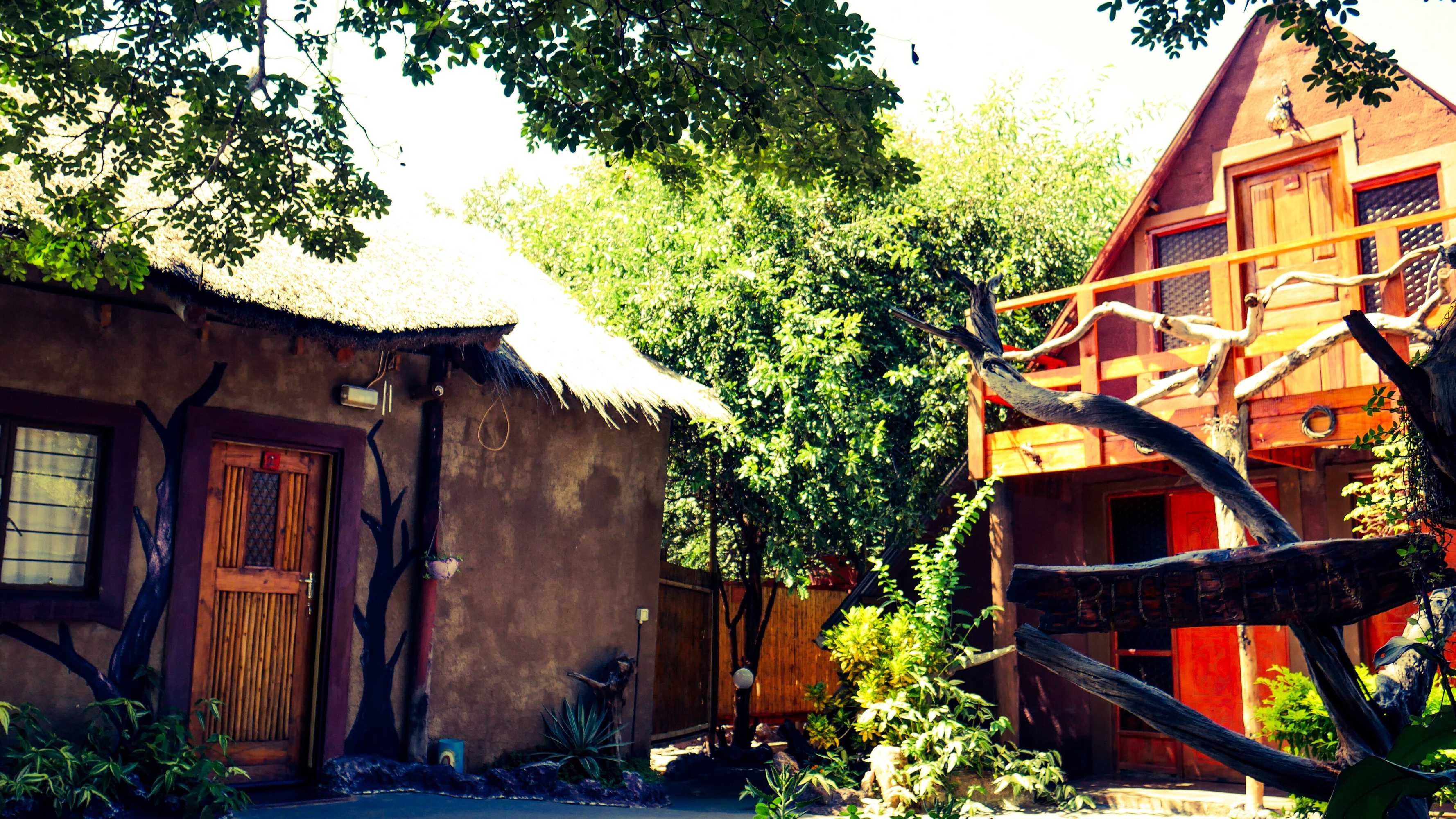 Gift card for Elephant Trail Guesthouse And Backpackers Gift card for Elephant Trail Guesthouse And Backpackers
