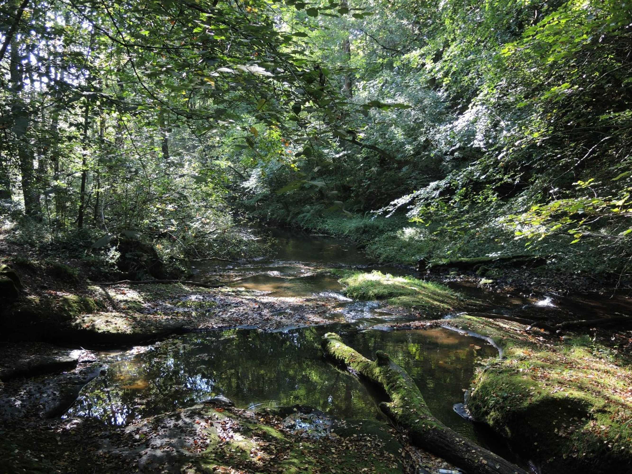 Gift card for Shireburn Arms Hotel