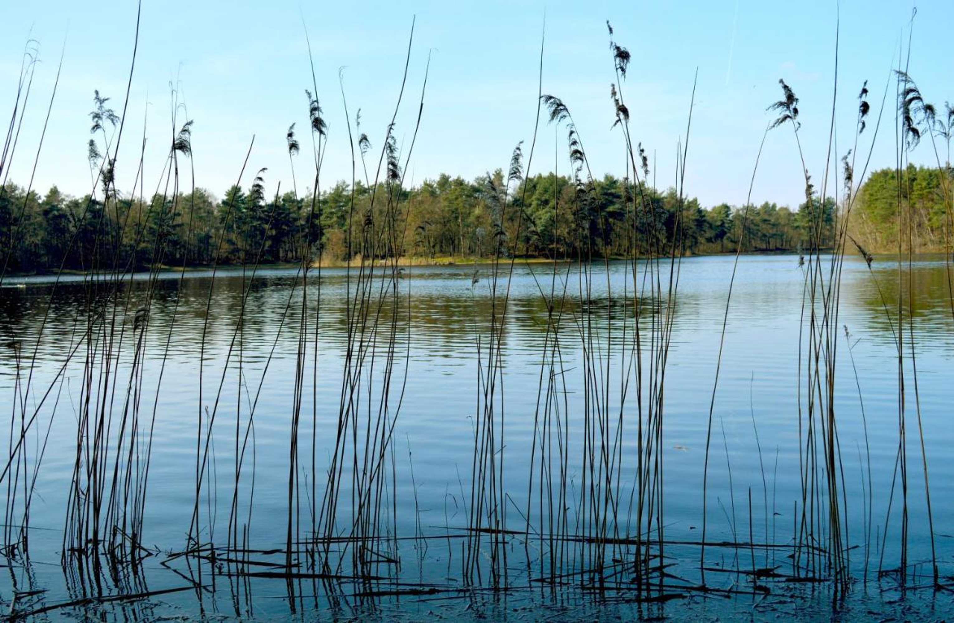 Gift card for Bed & Breakfast Maryland