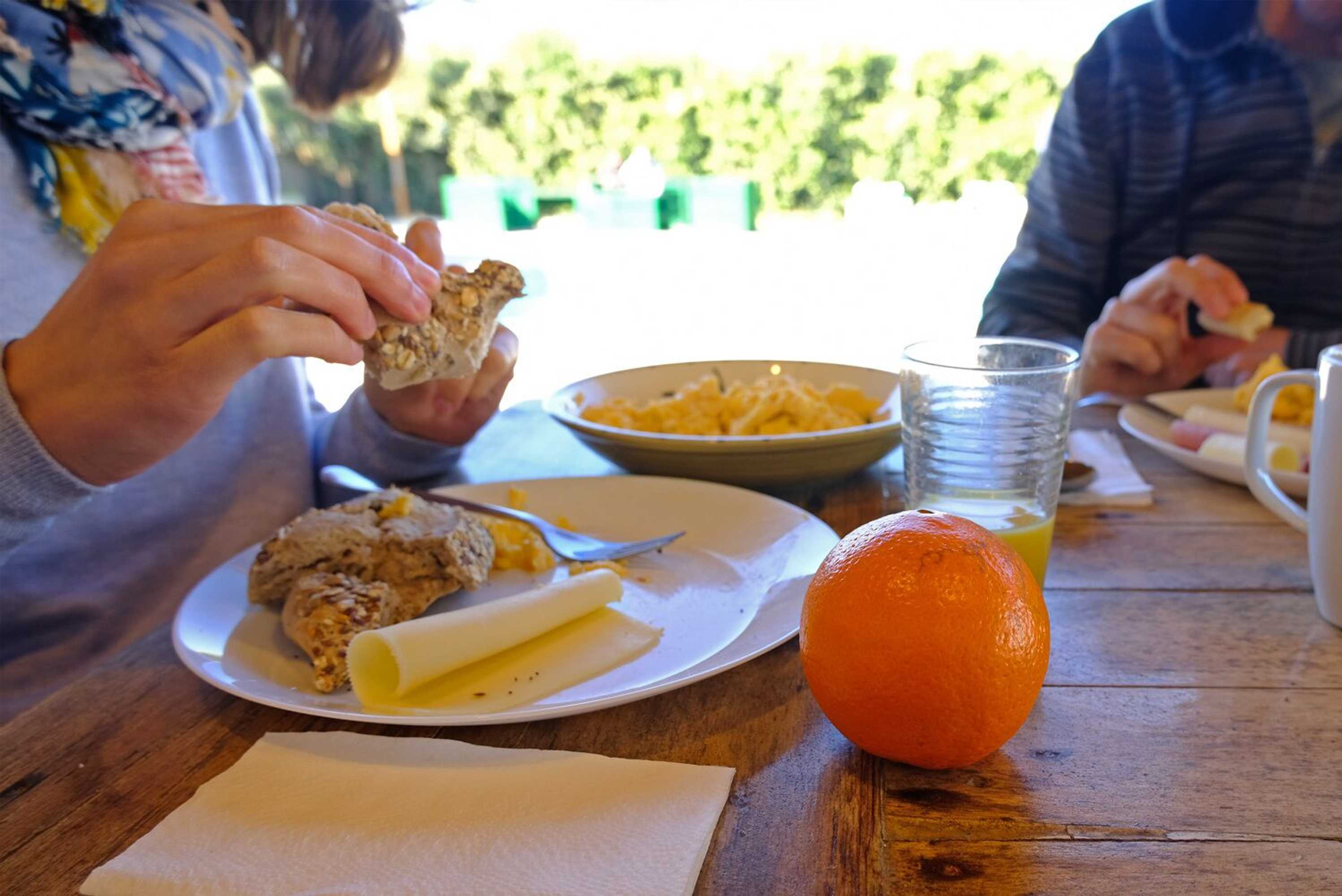 Gift card for Freesurfcamp