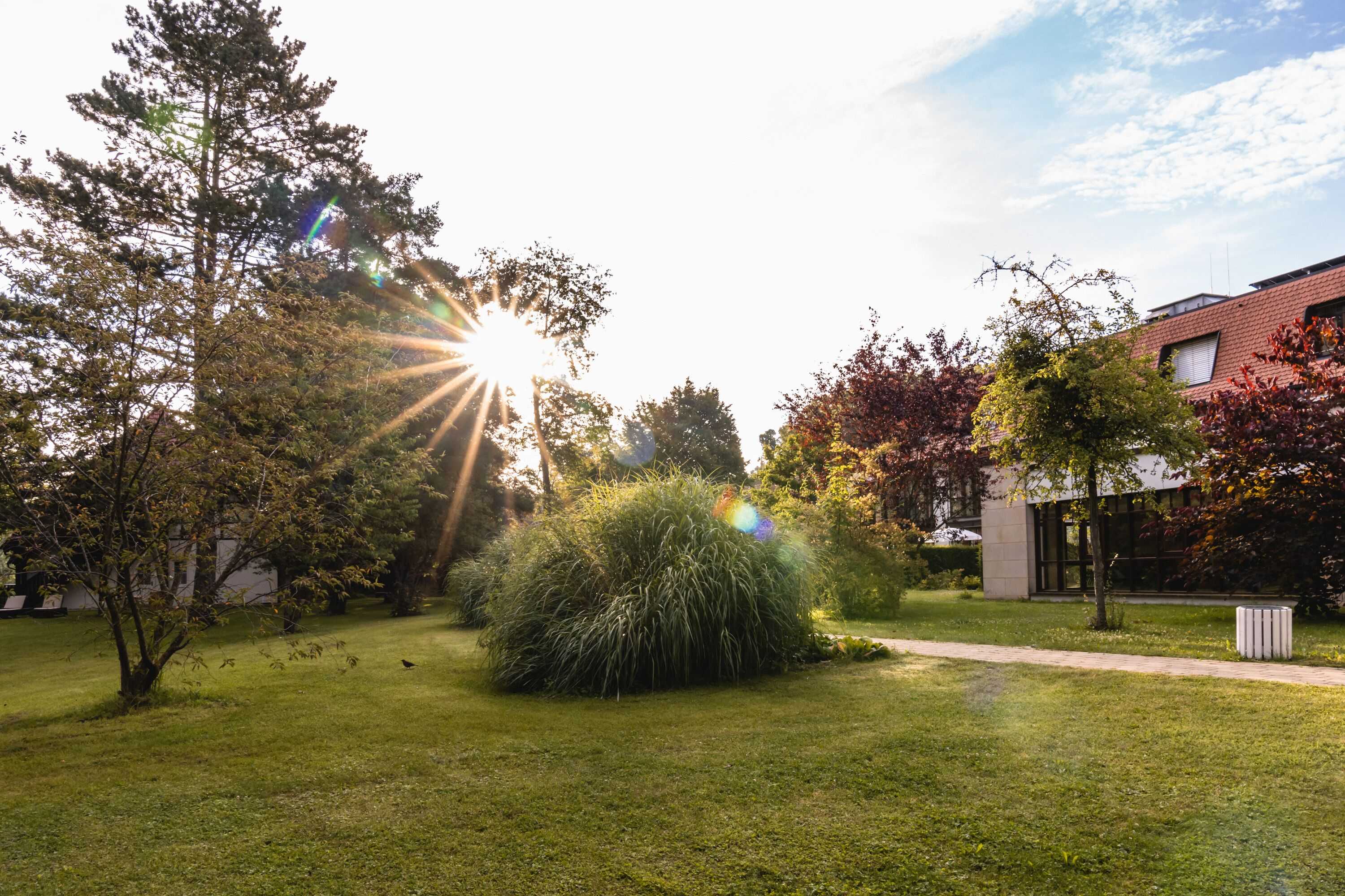 Gift card for Wald & Schlosshotel Friedrichsruhe Gift card for Wald & Schlosshotel Friedrichsruhe