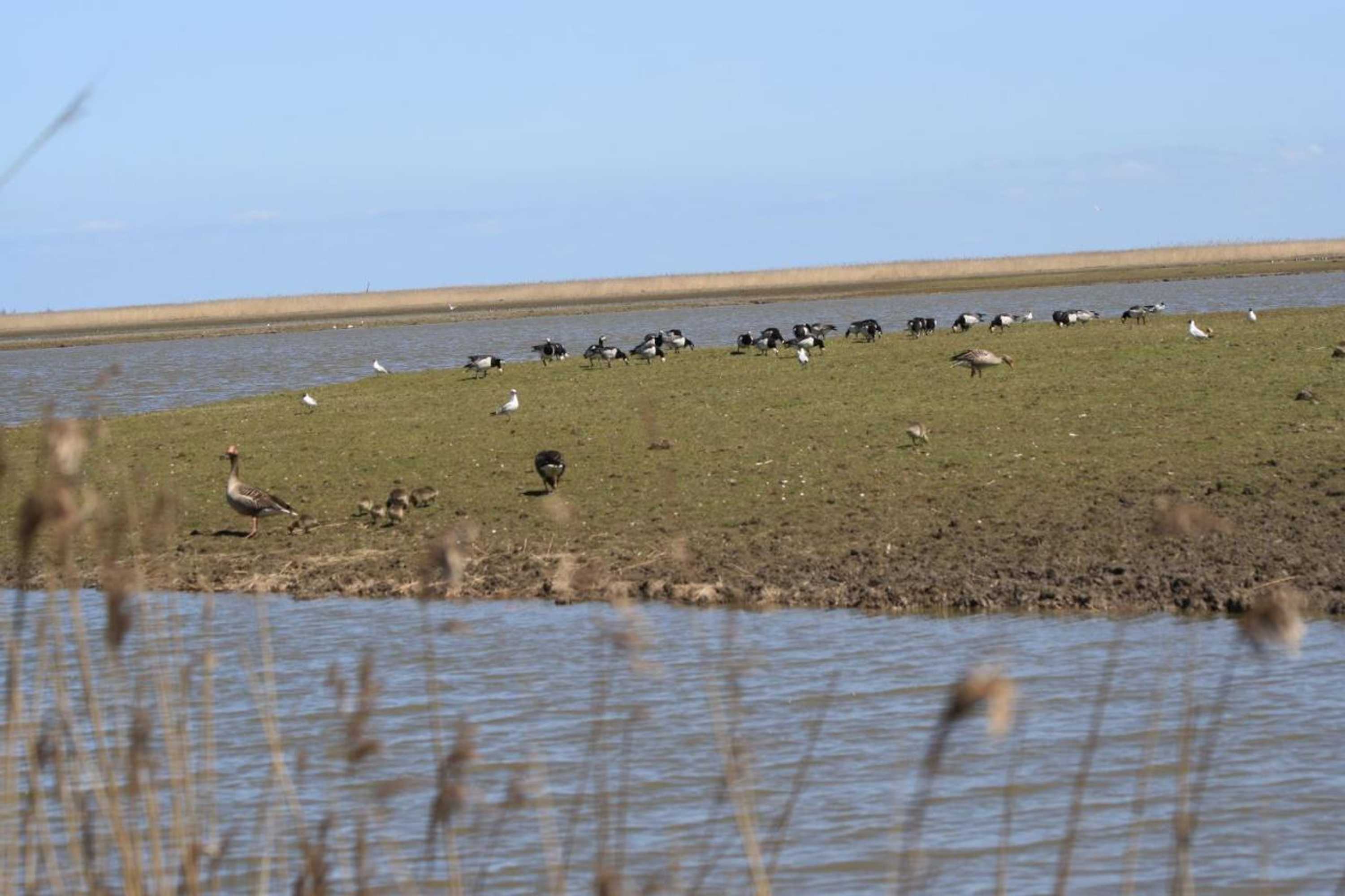 Gift card for Casa Mirador Almere