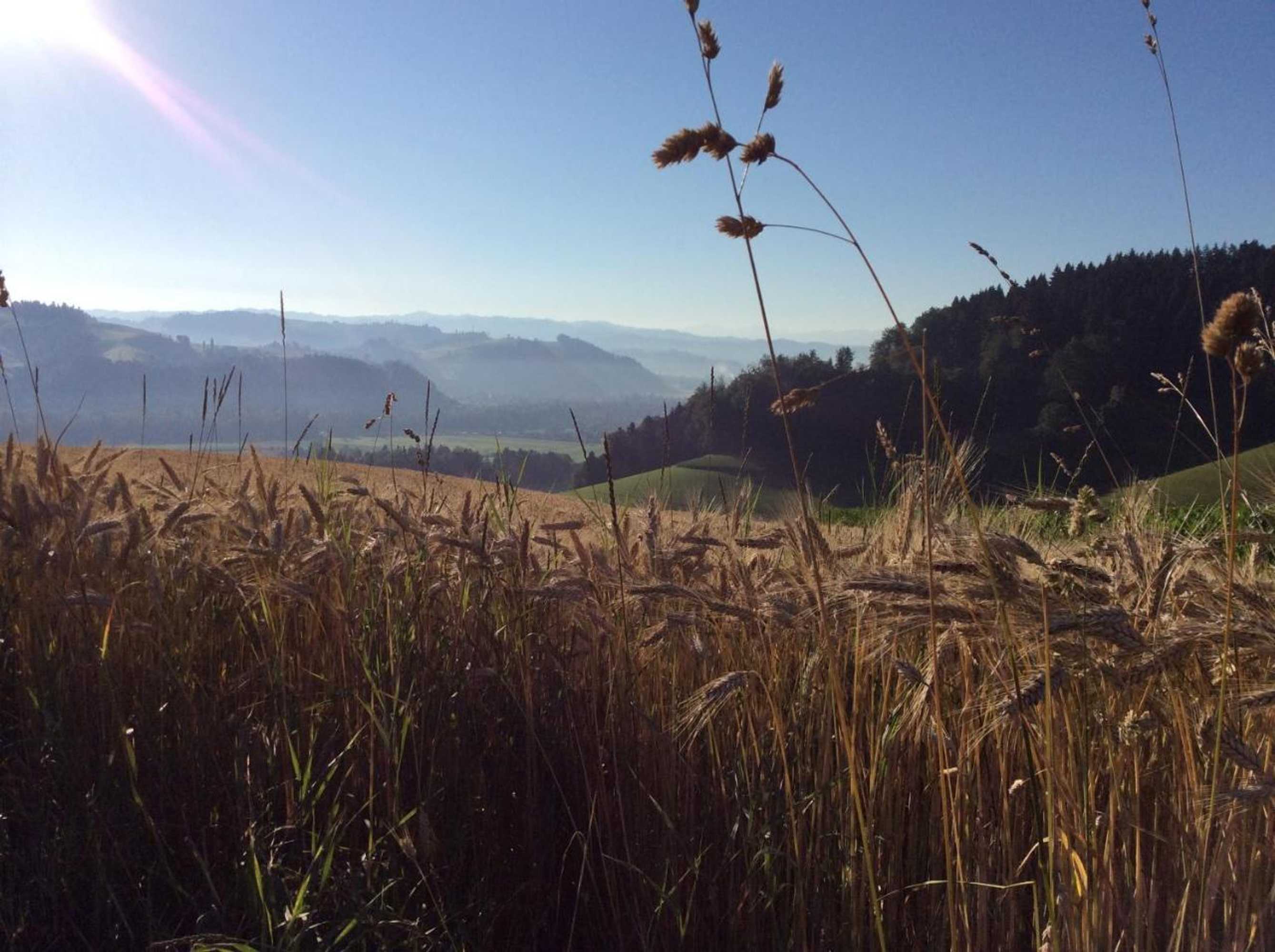 Gift card for Landcafe Mit Mini Hotel