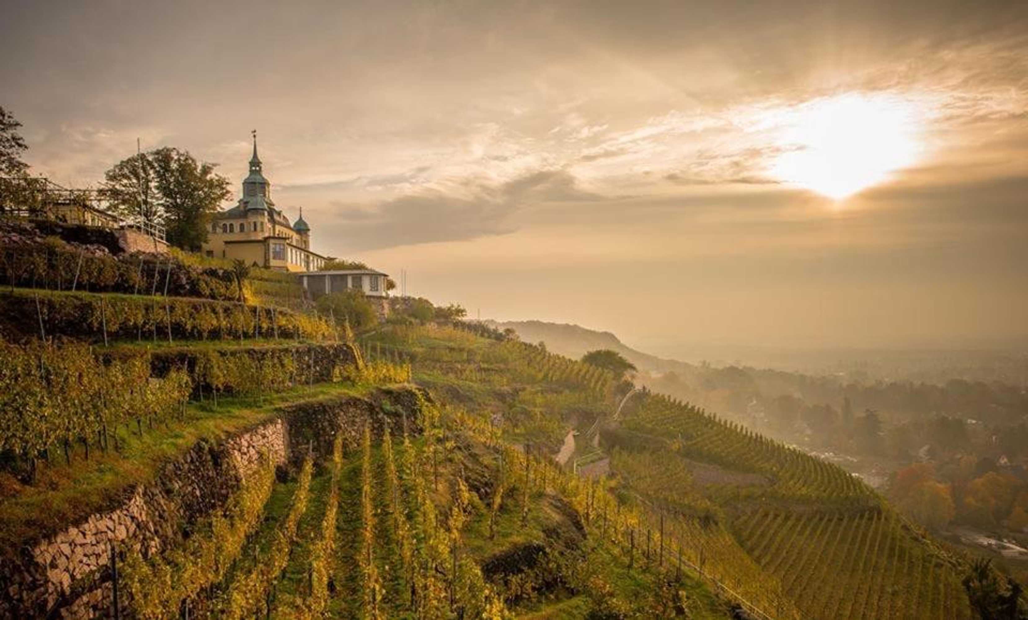 Gift card for Spitzhaus