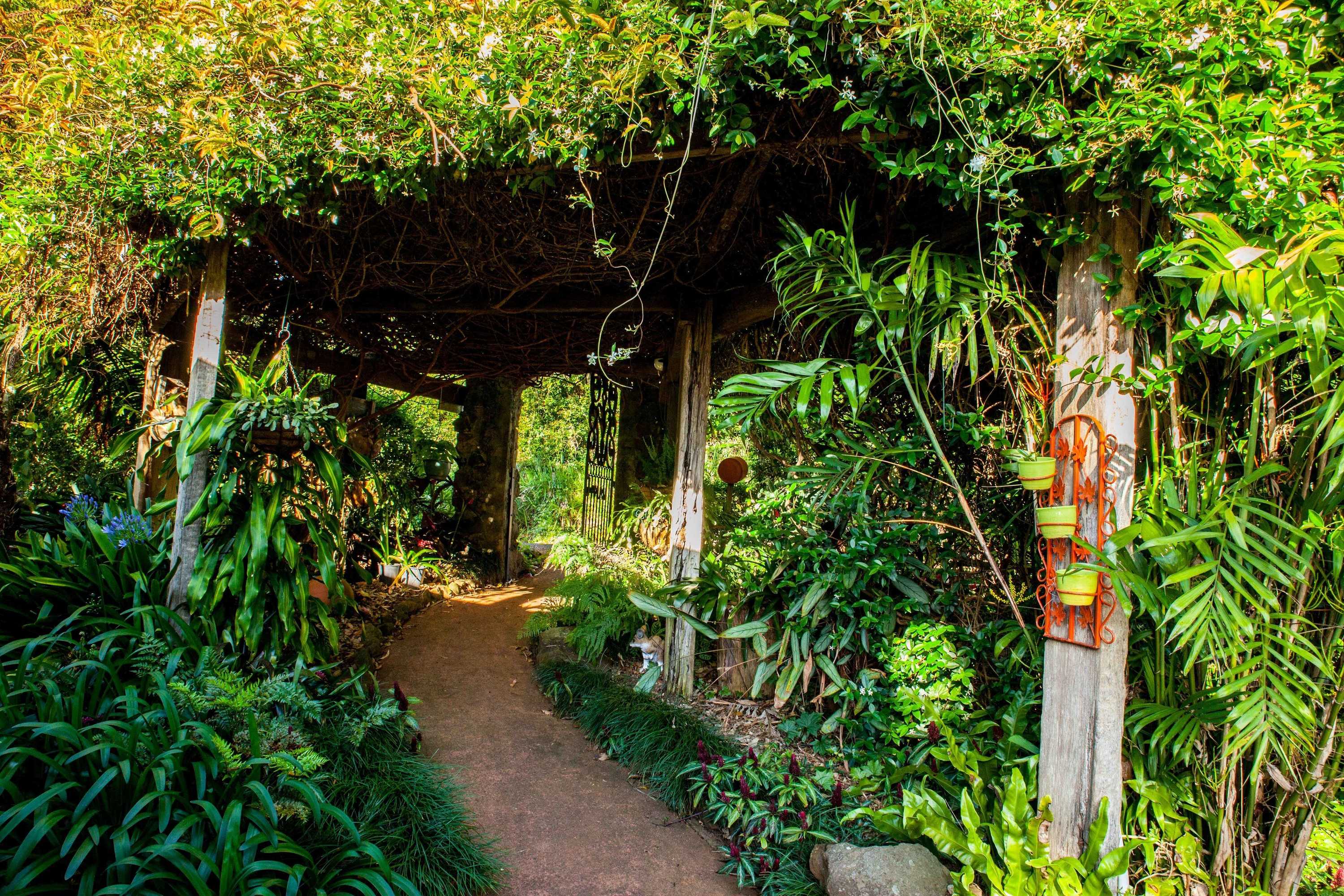 Gift card for Tamborine Mountain B&b Gift card for Tamborine Mountain B&b