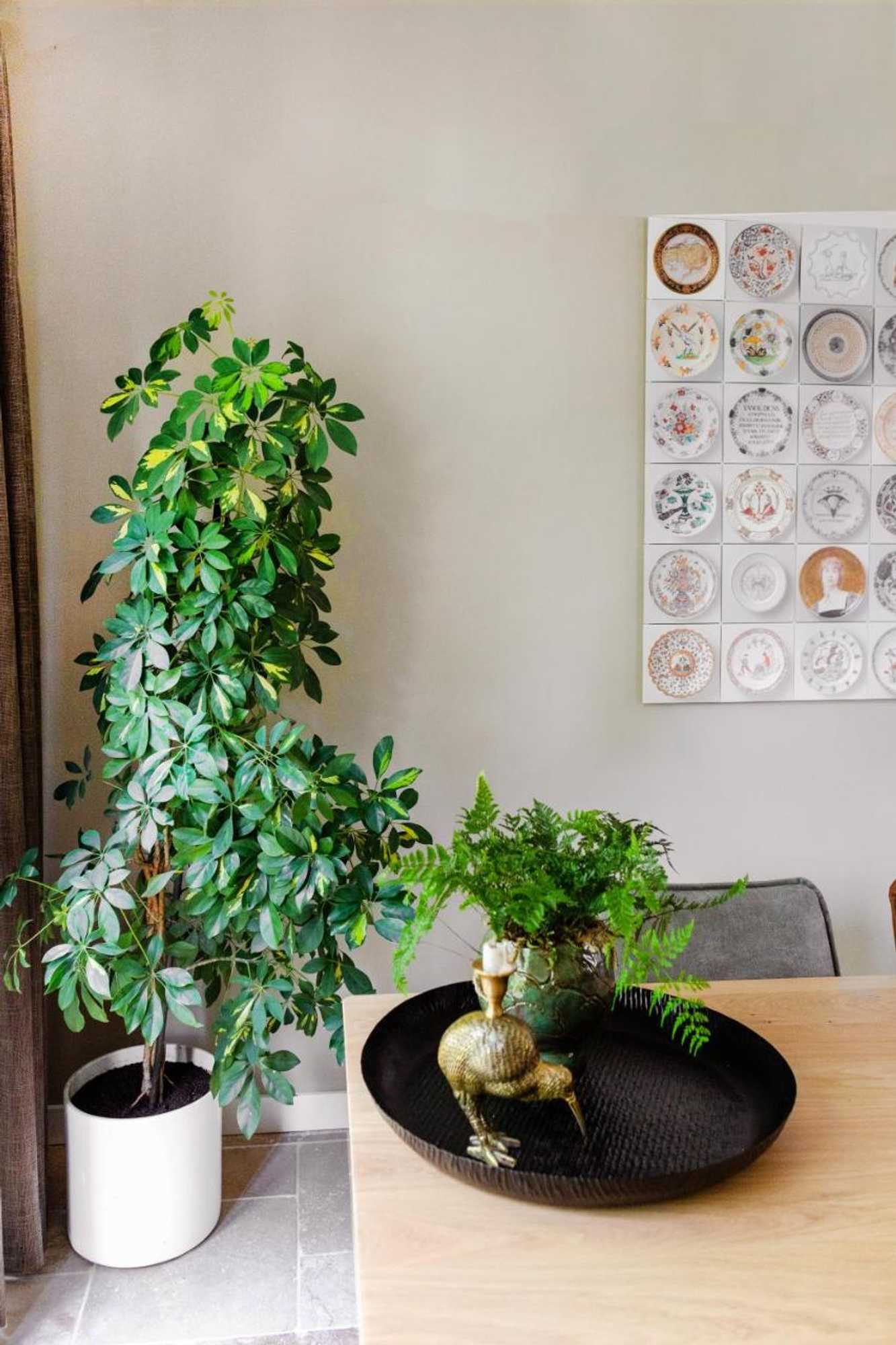 Gift card for Bed & Breakfast Avellano