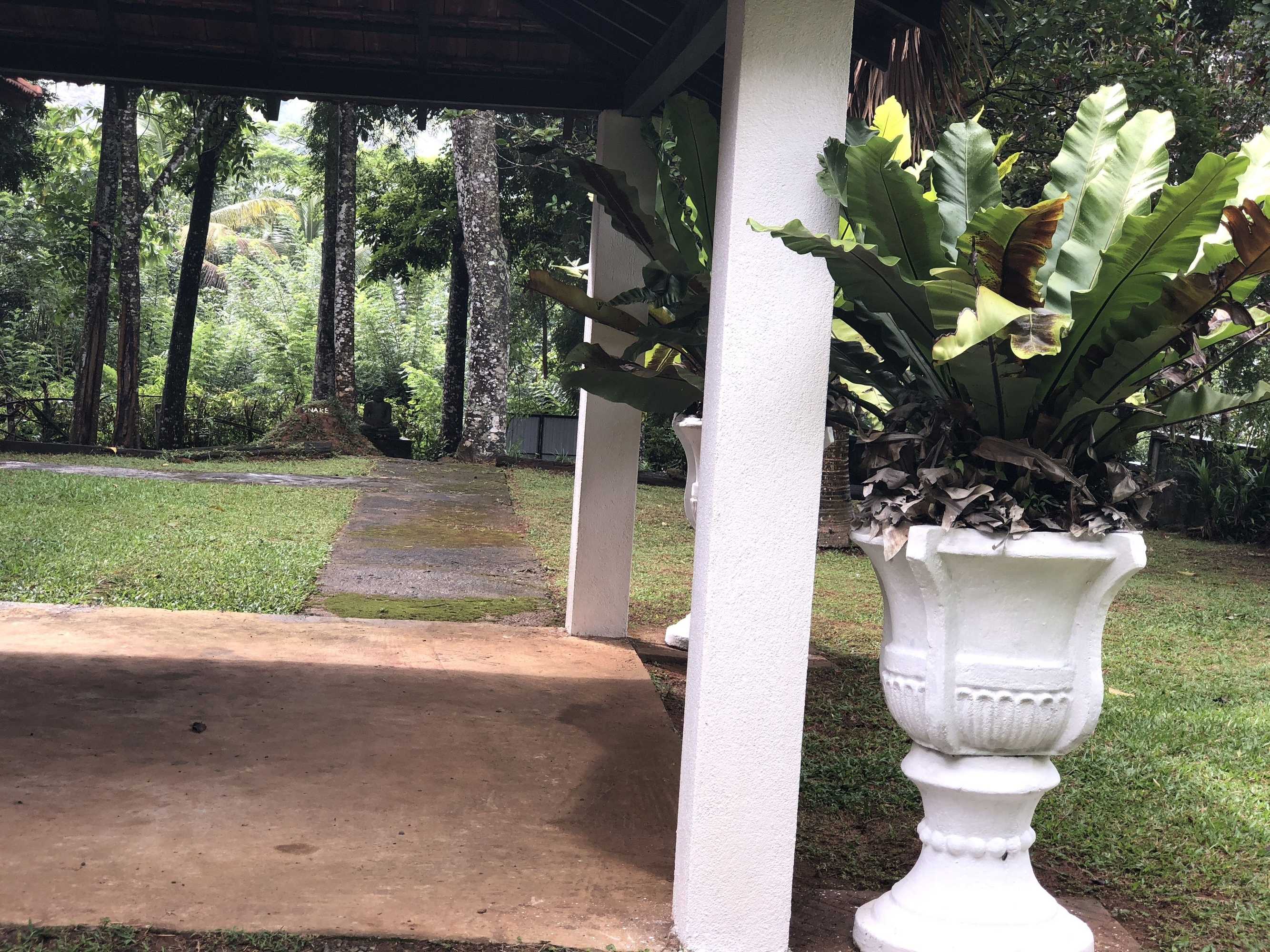 Gift card for Captain's Bungalow
