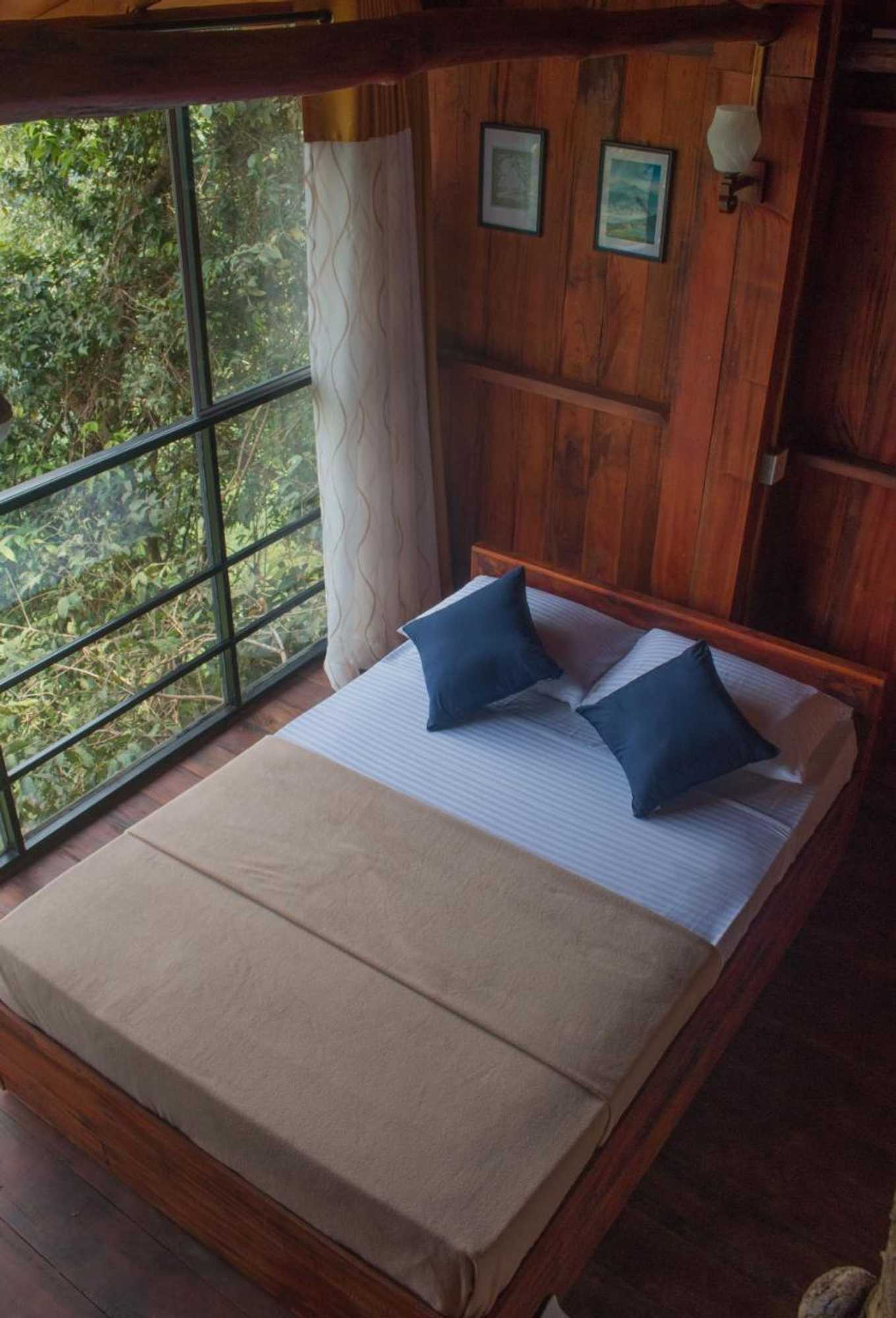 Gift card for Tree Houses by Jungle River