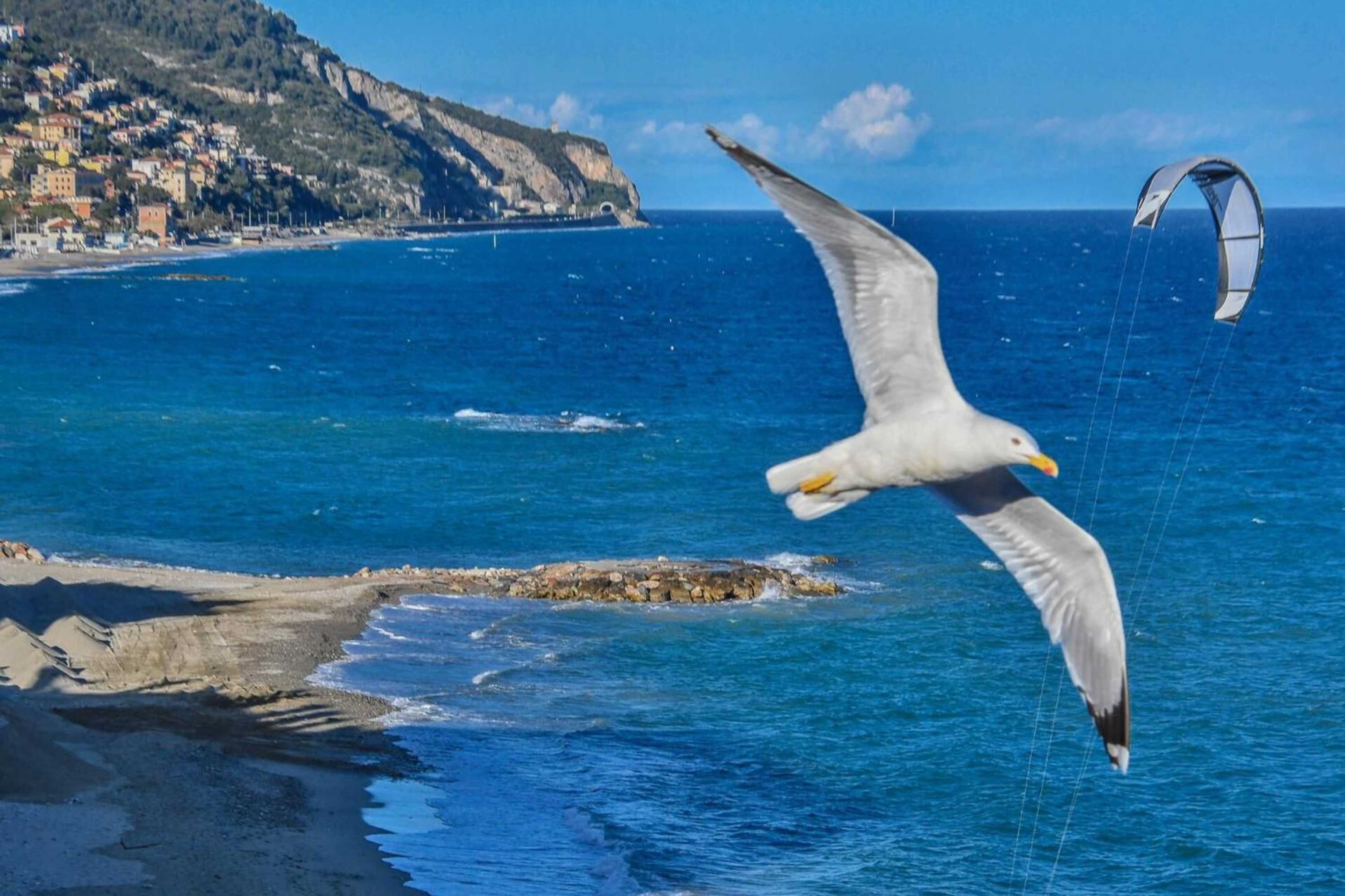 Gift card for Vela  D'oro