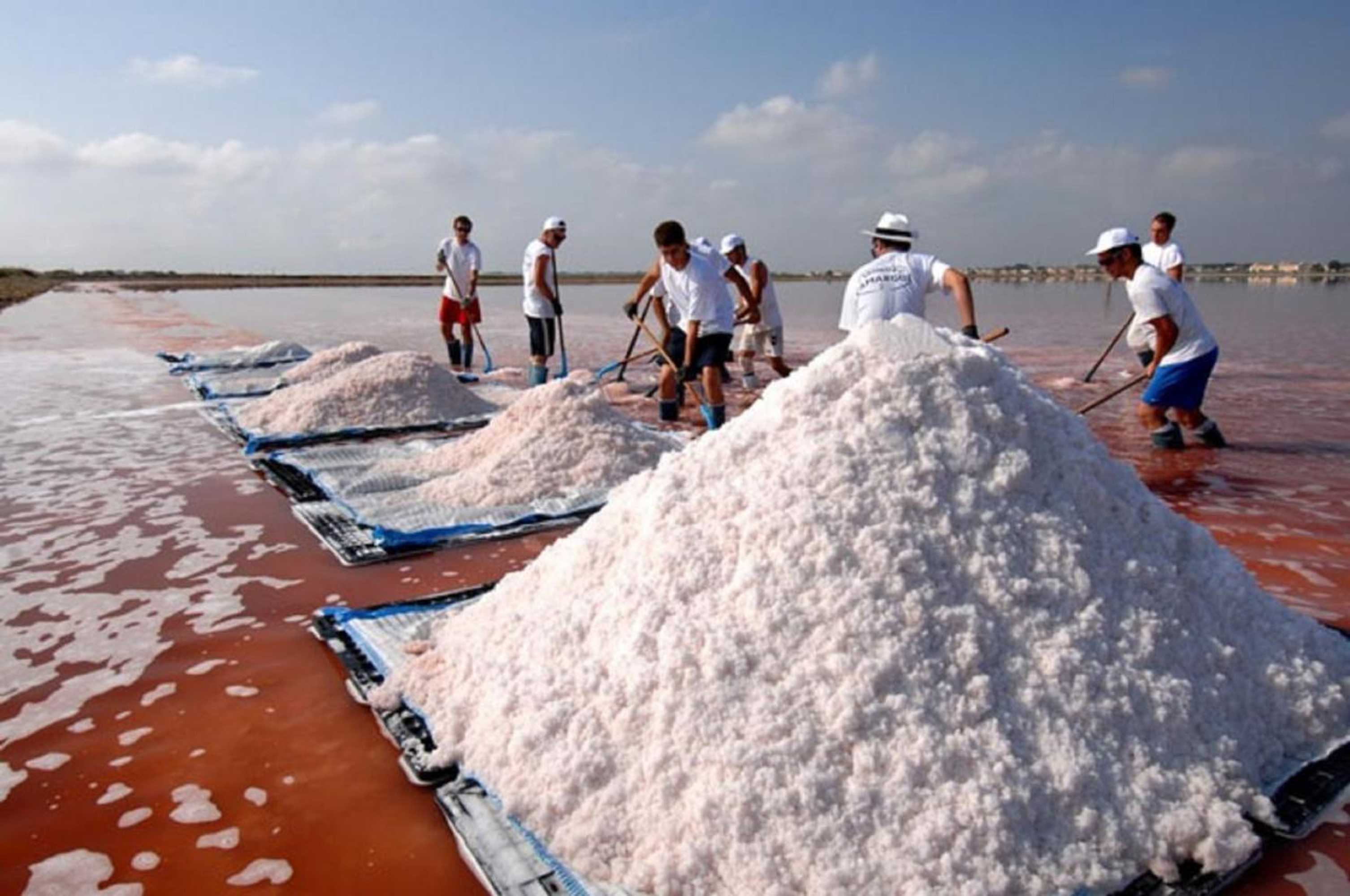 Gift card for Camping L'olivier