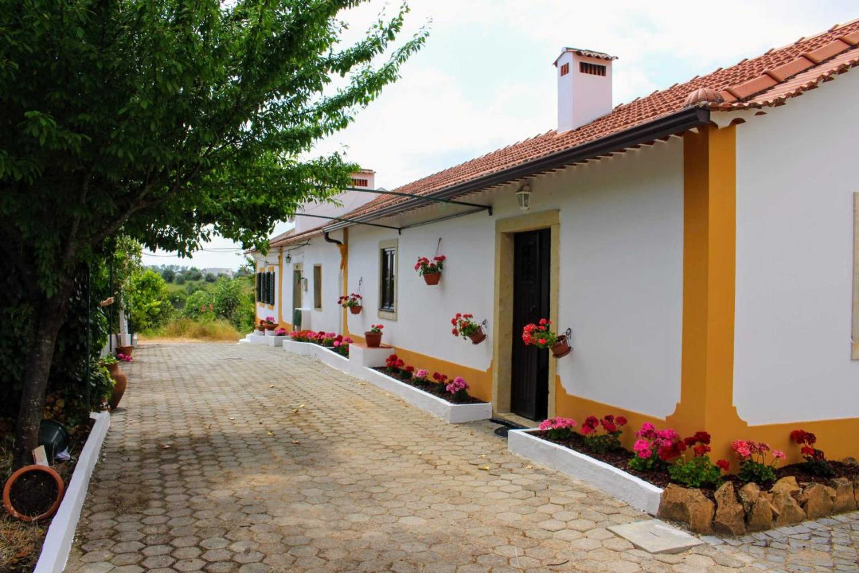 Gift card for Quinta da Ti Júlia