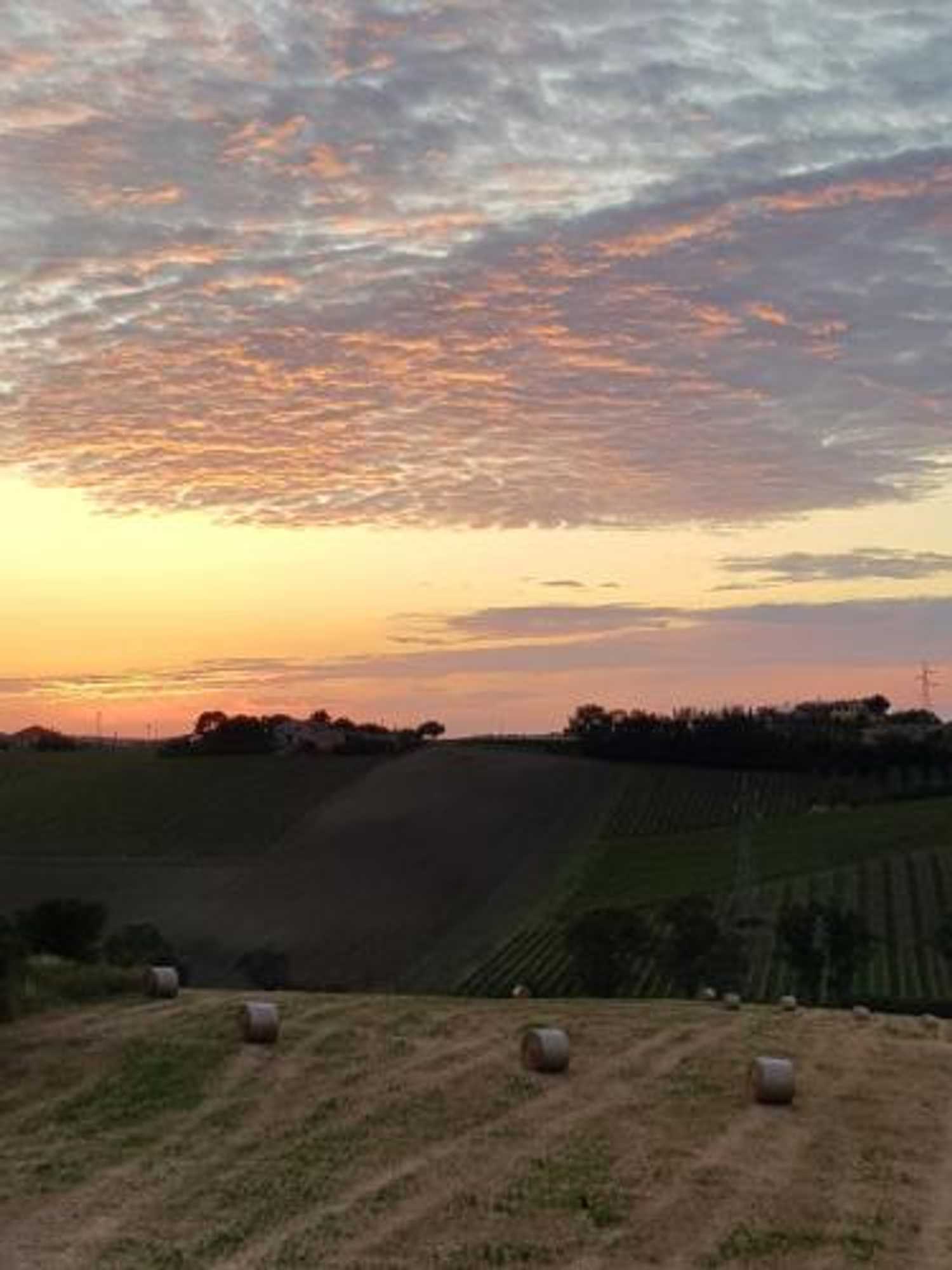 Gift card for Agriturismo Bio Verde Armonia Gift card for Agriturismo Bio Verde Armonia