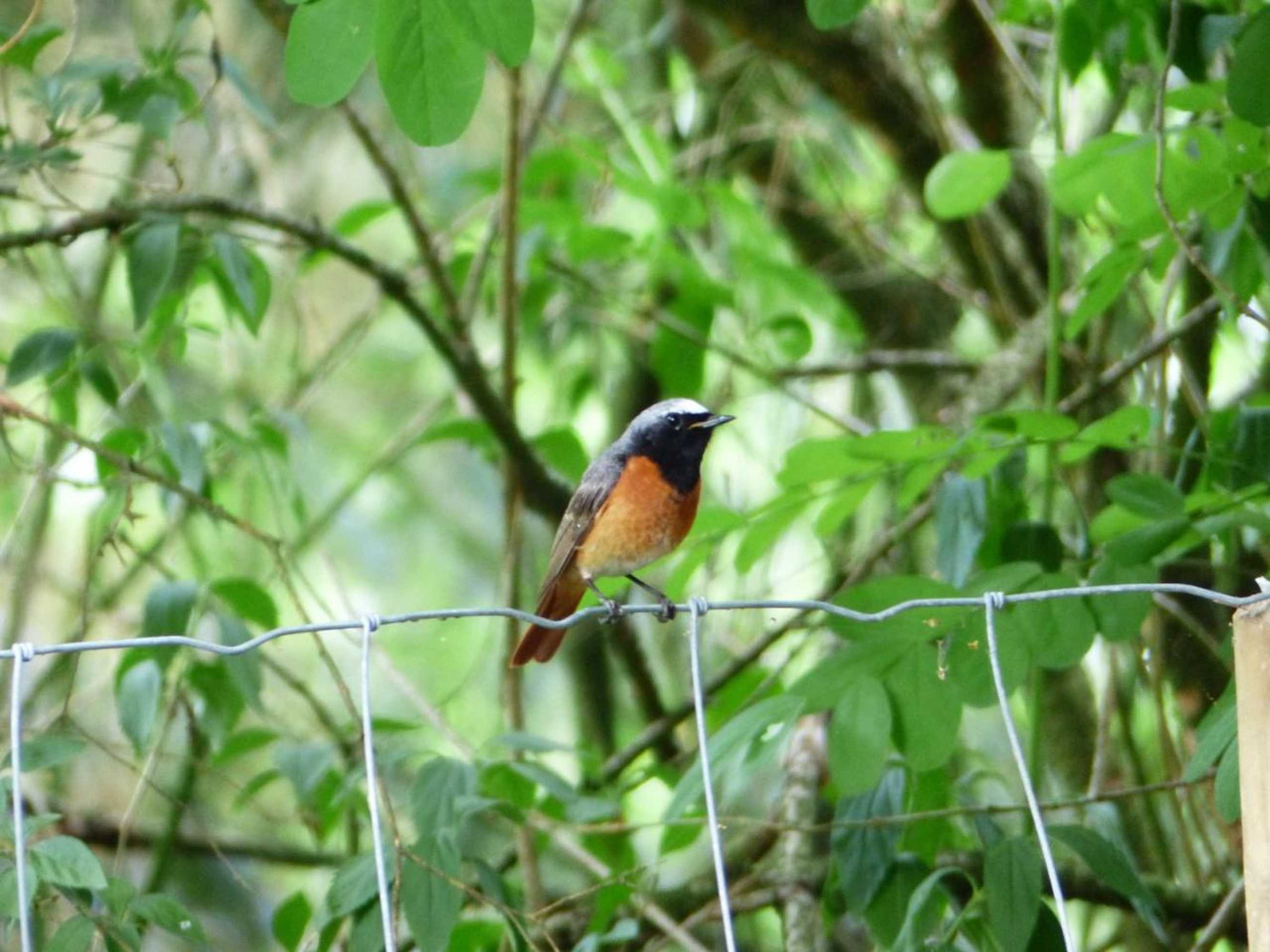 Gift card for Herberg De Eexter Os