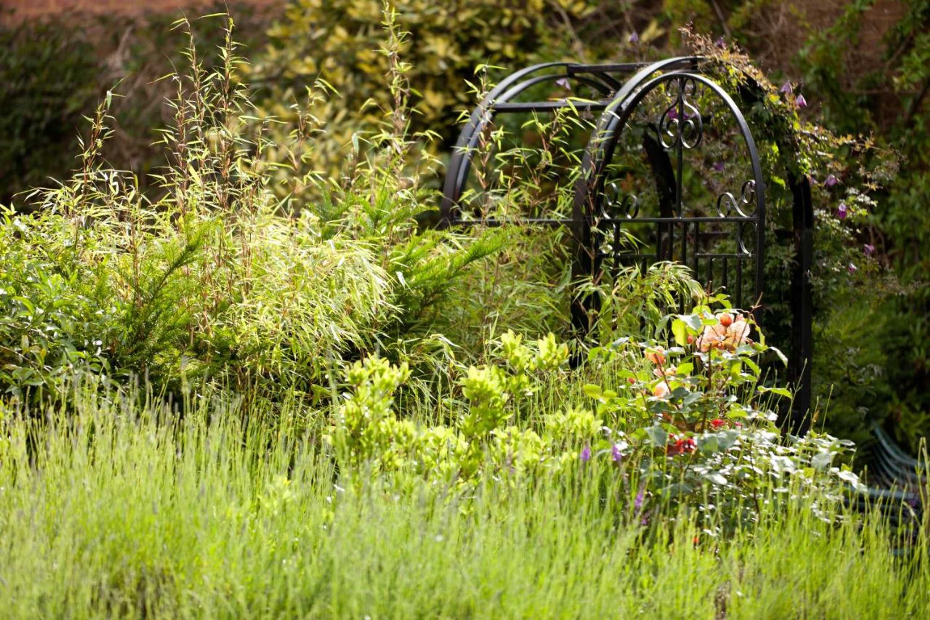 Gift card for Benslow Music