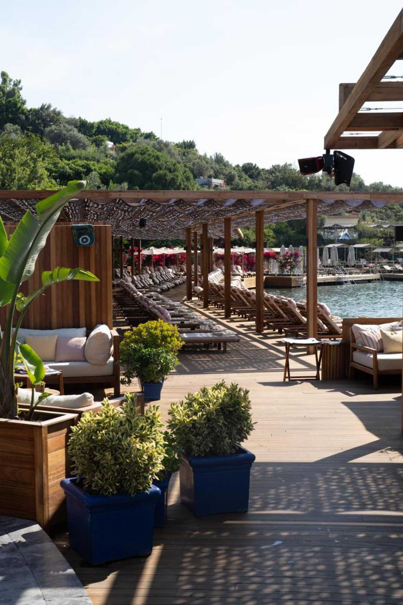 Gift card for No 81 Hotel