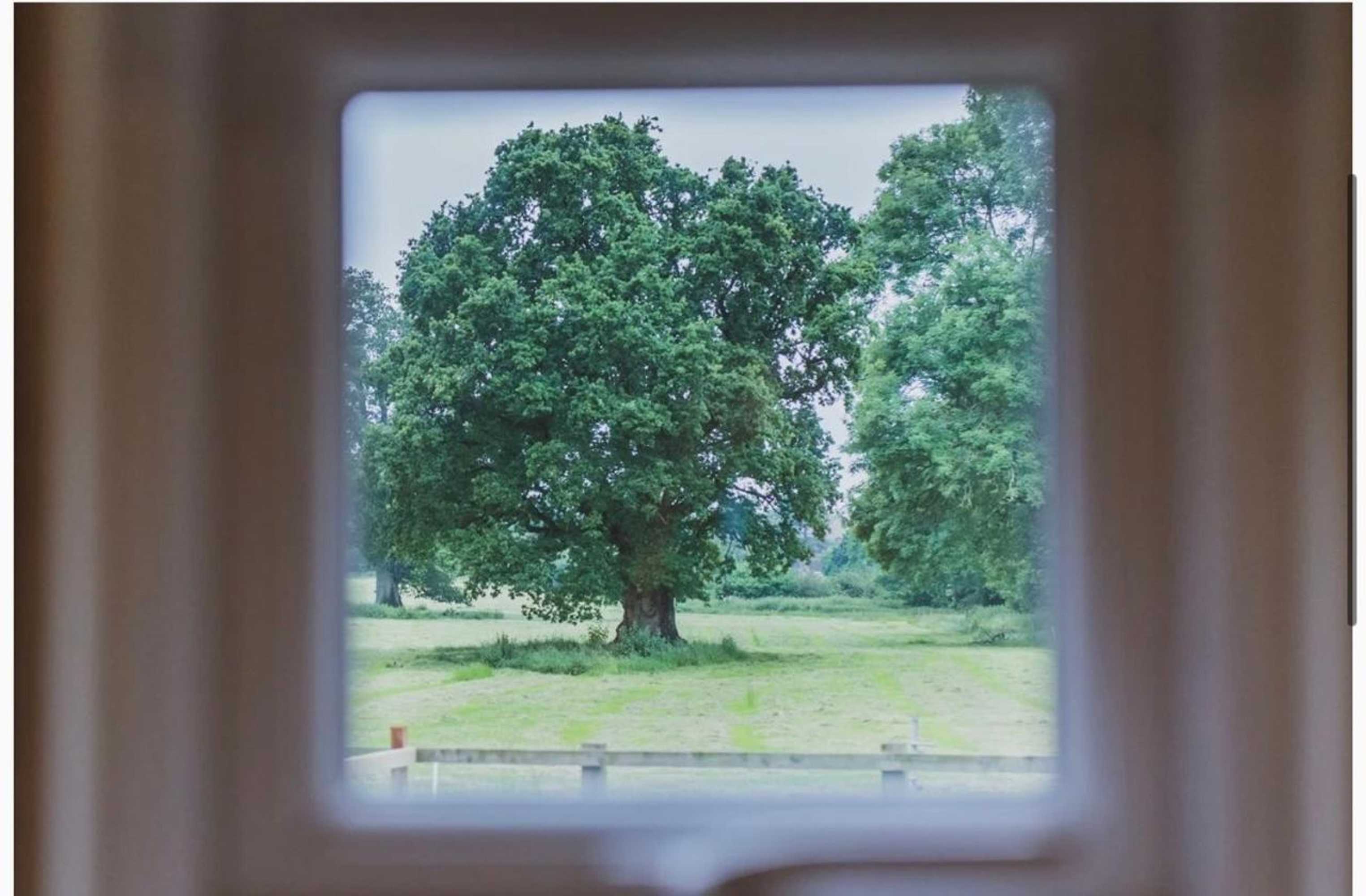 Gift card for Hidden Wood Glamping