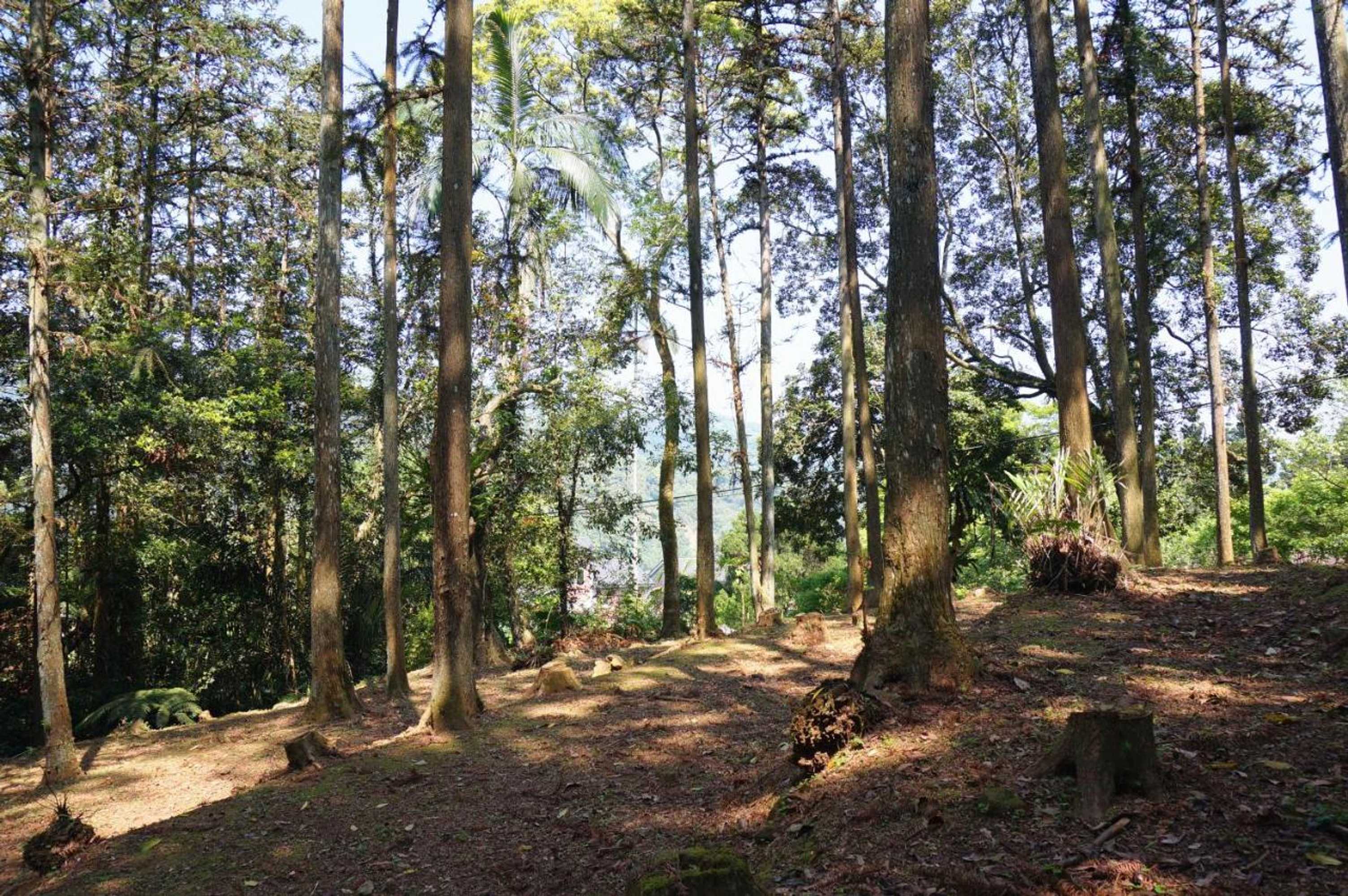 Gift card for Li Jin Kuan Homestay